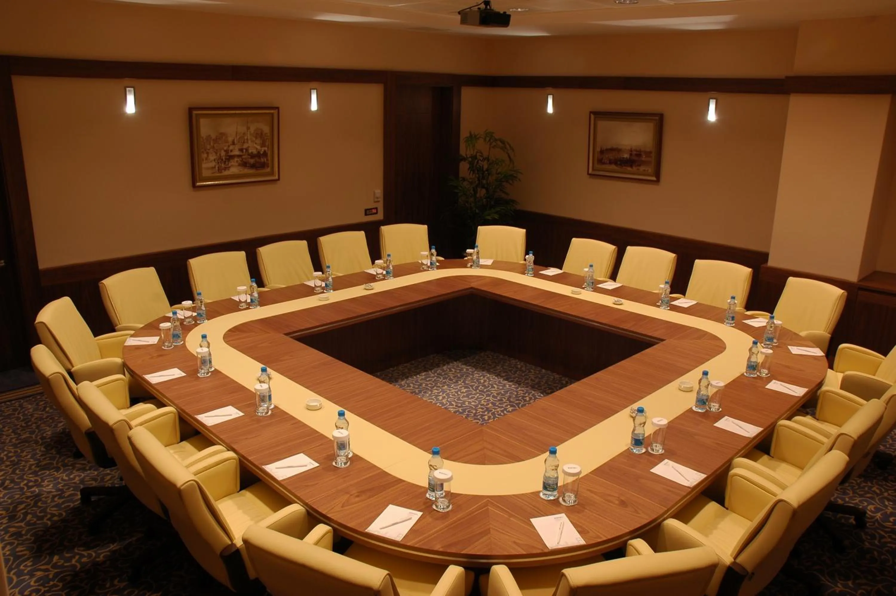 Meeting/conference room in Byotell Istanbul