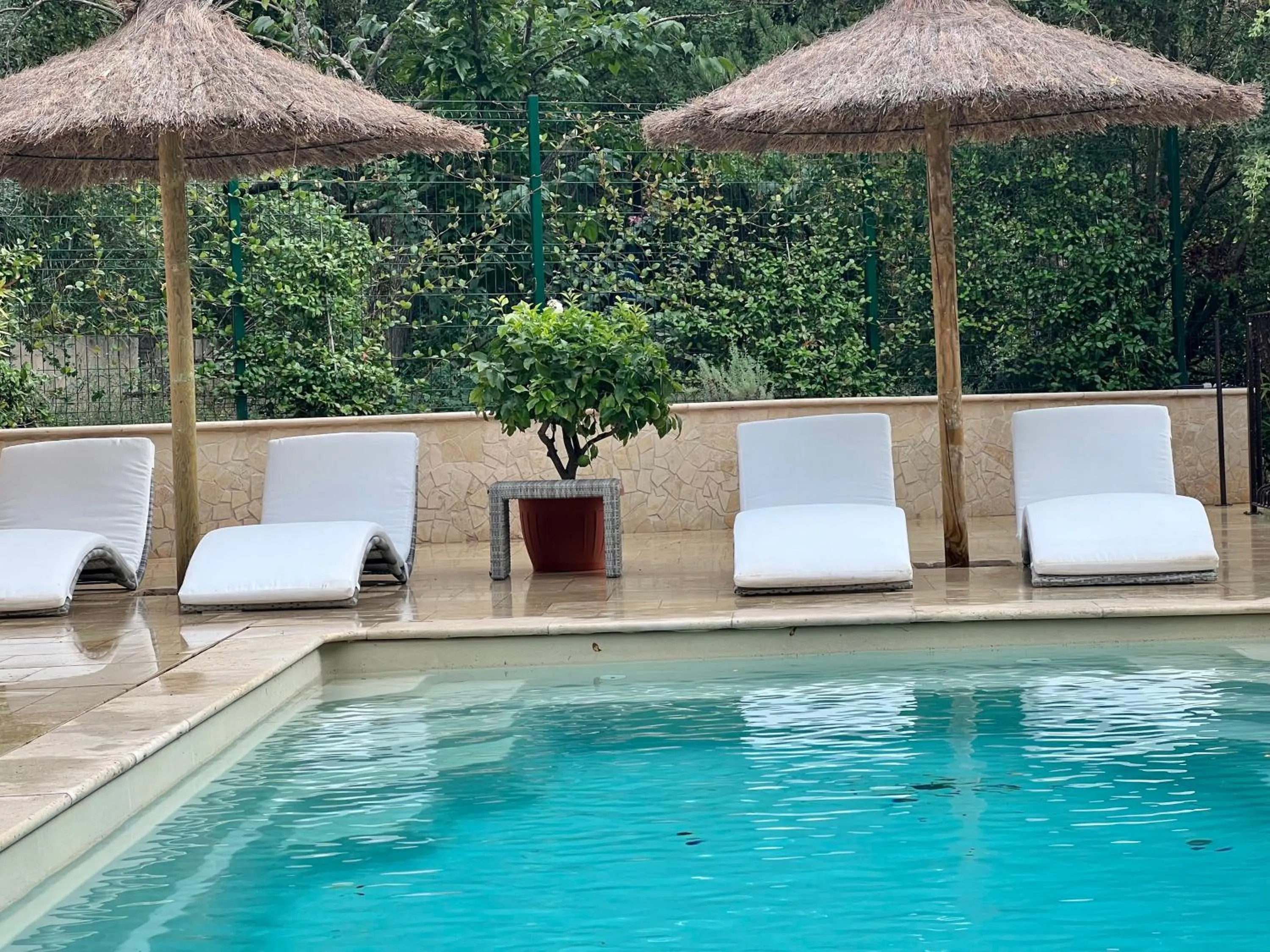 Garden, Swimming Pool in La Casa dei Sogni