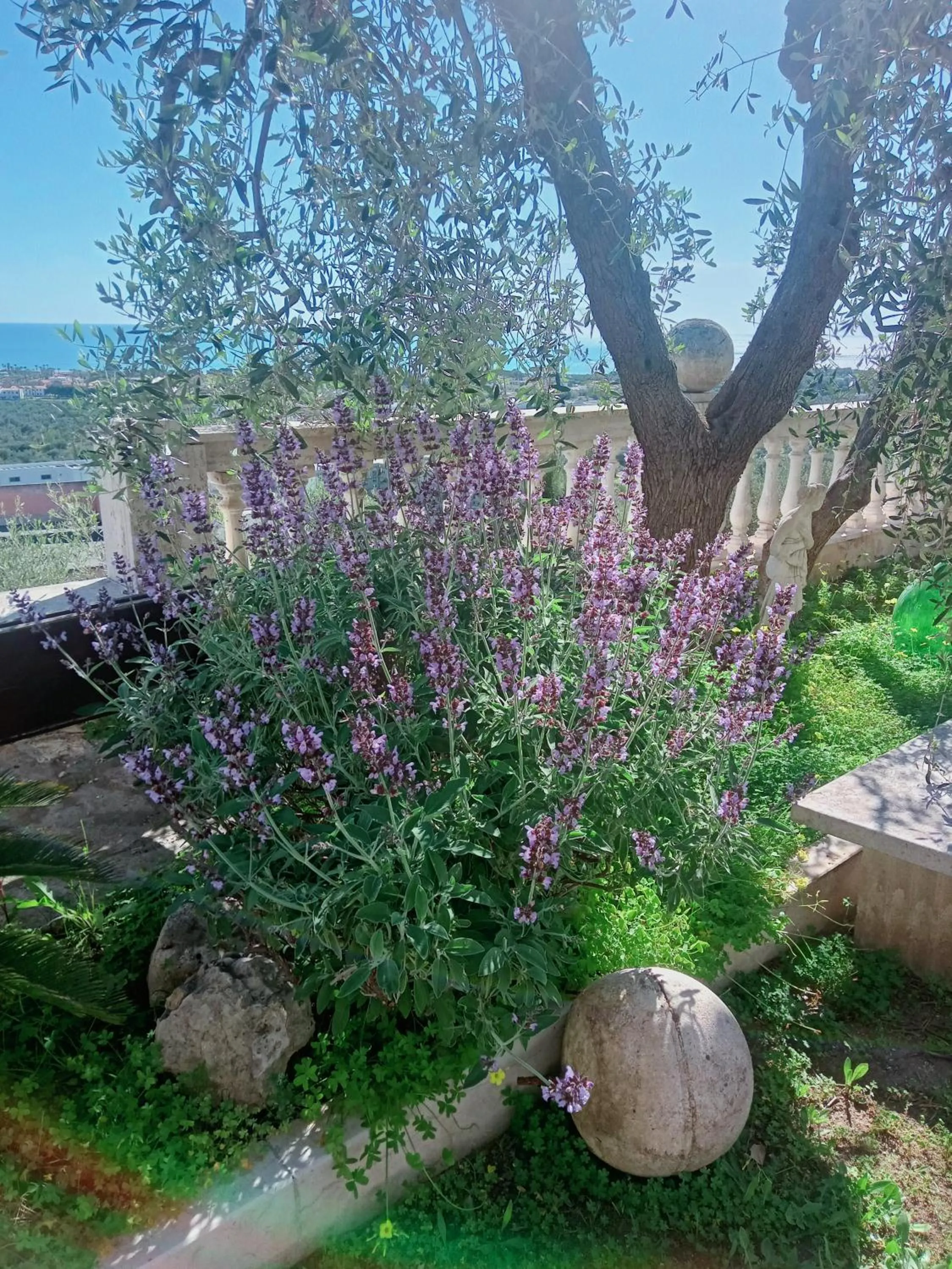 Garden in Residenza Collina Dei Pini