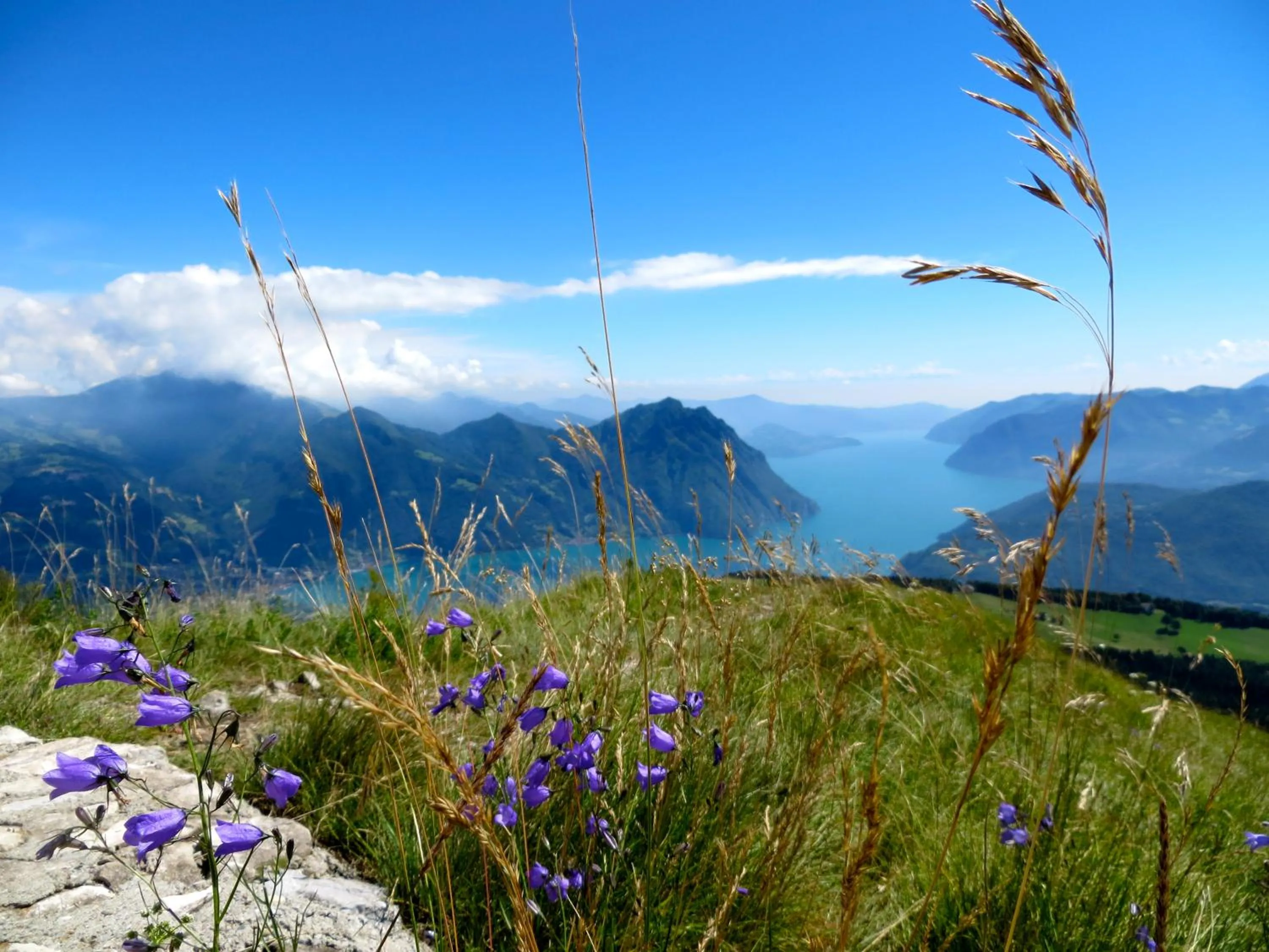 Nearby landmark in Hotel Miralago