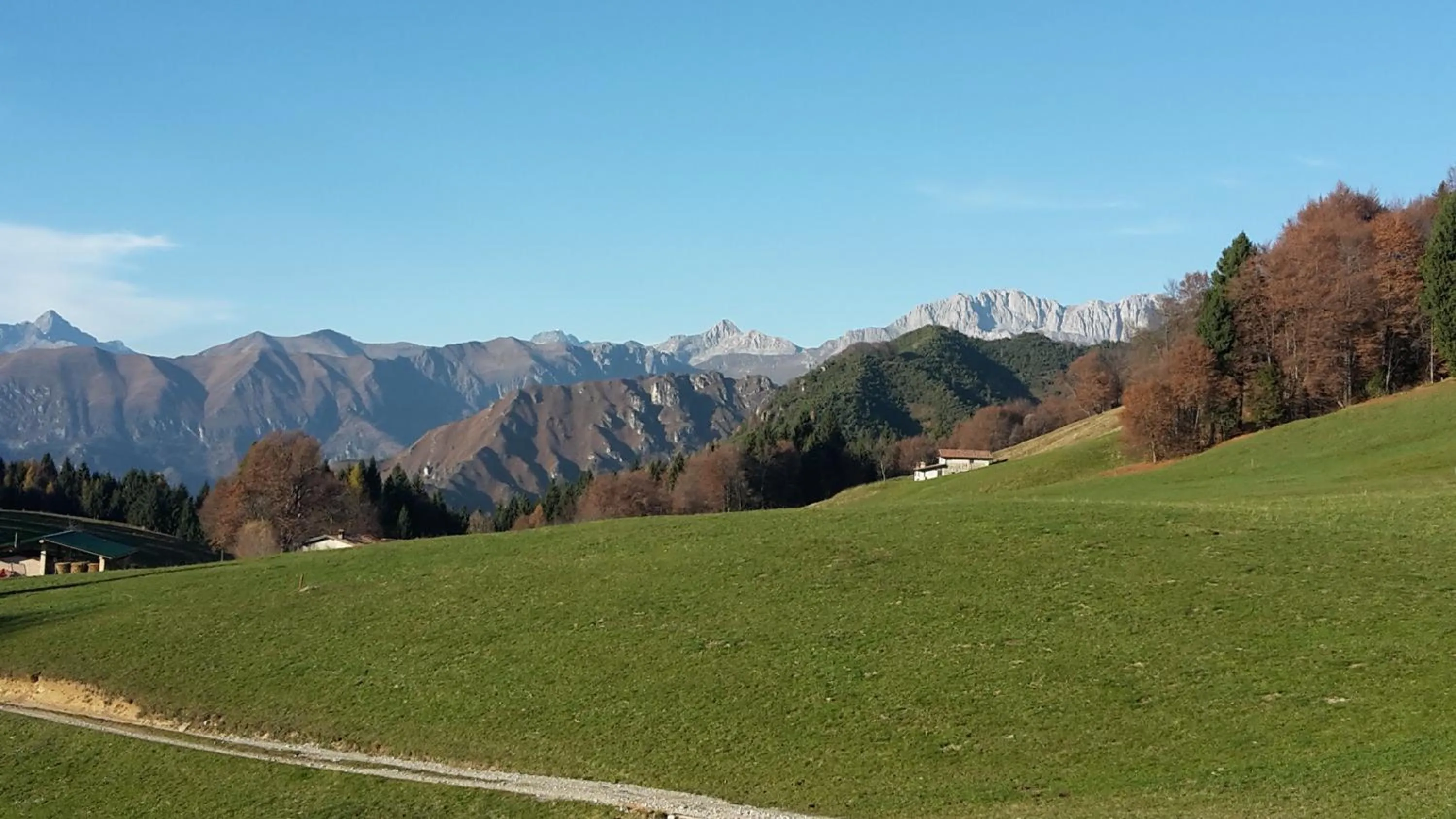 Natural landscape in Hotel Miralago
