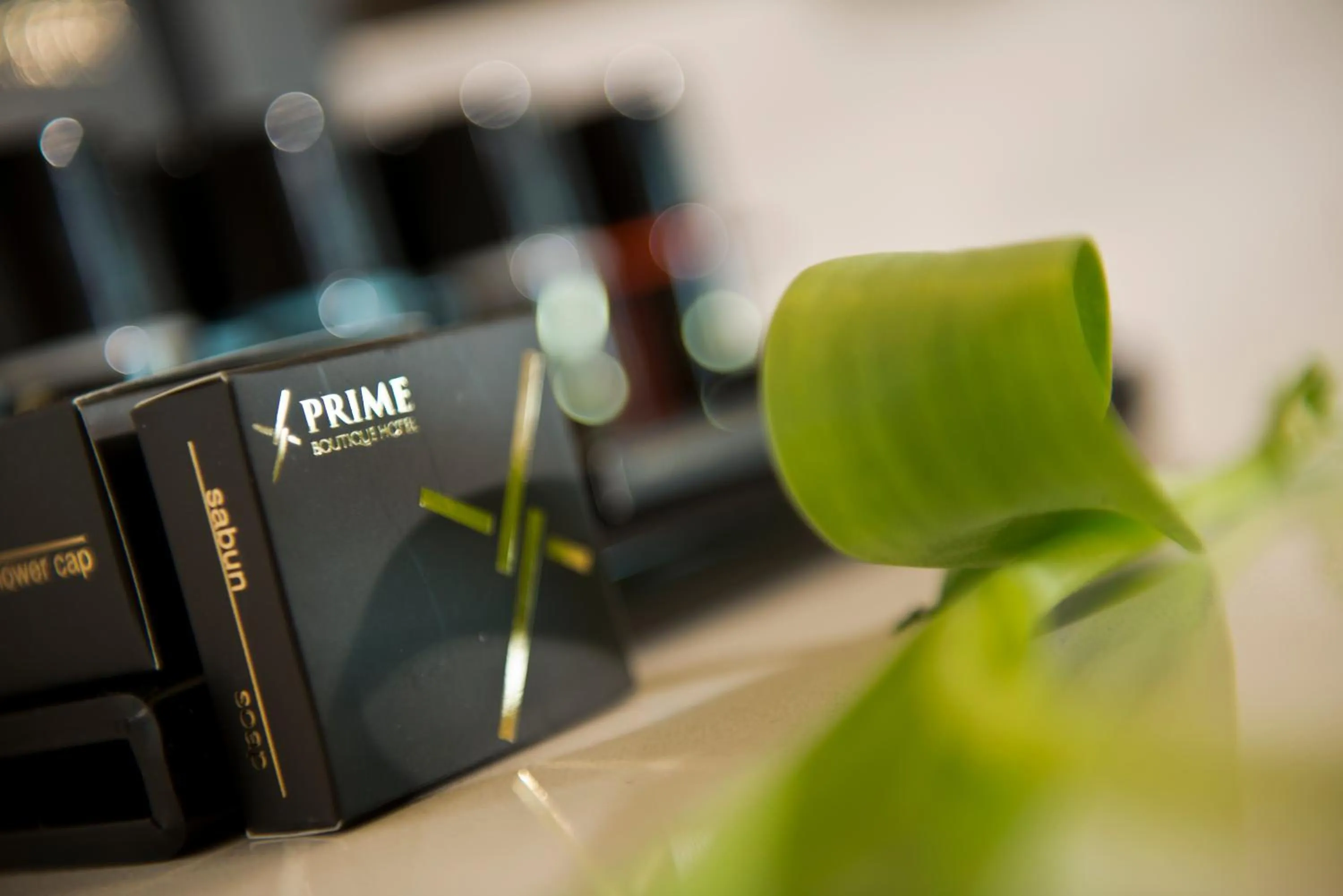 View (from property/room) in Prime Boutique Hotel