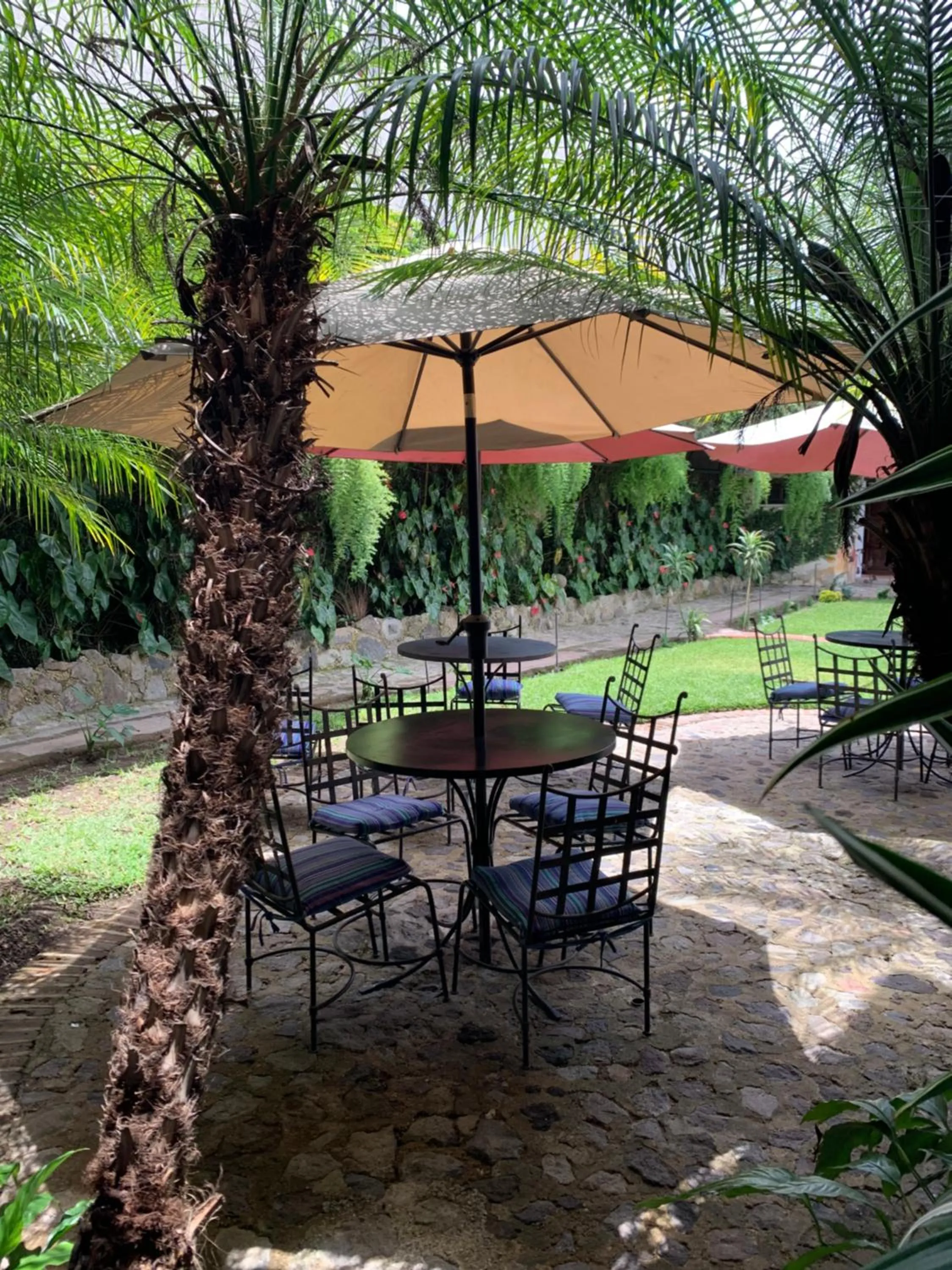 Restaurant/places to eat in Villa de Antaño