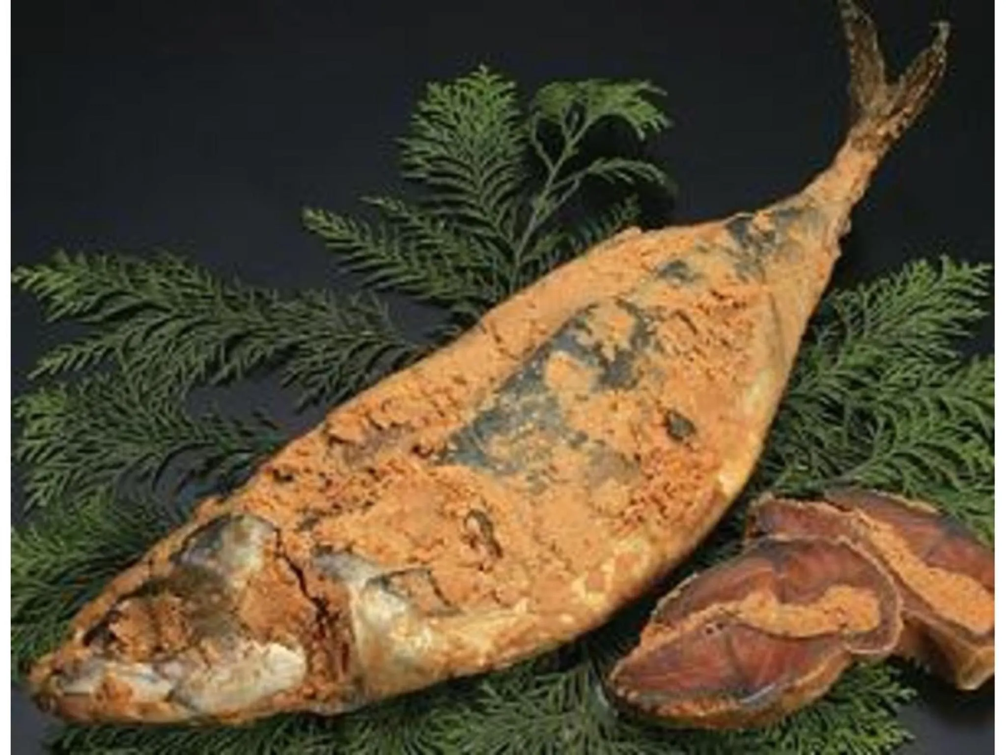 Az Inn Fukui - Vacation STAY 65924v