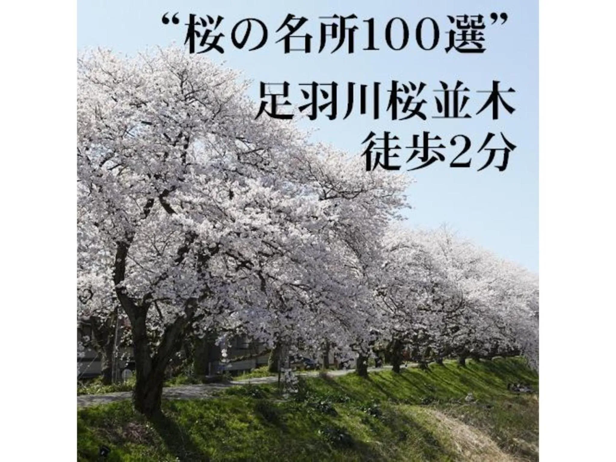 Az Inn Fukui - Vacation STAY 65935v