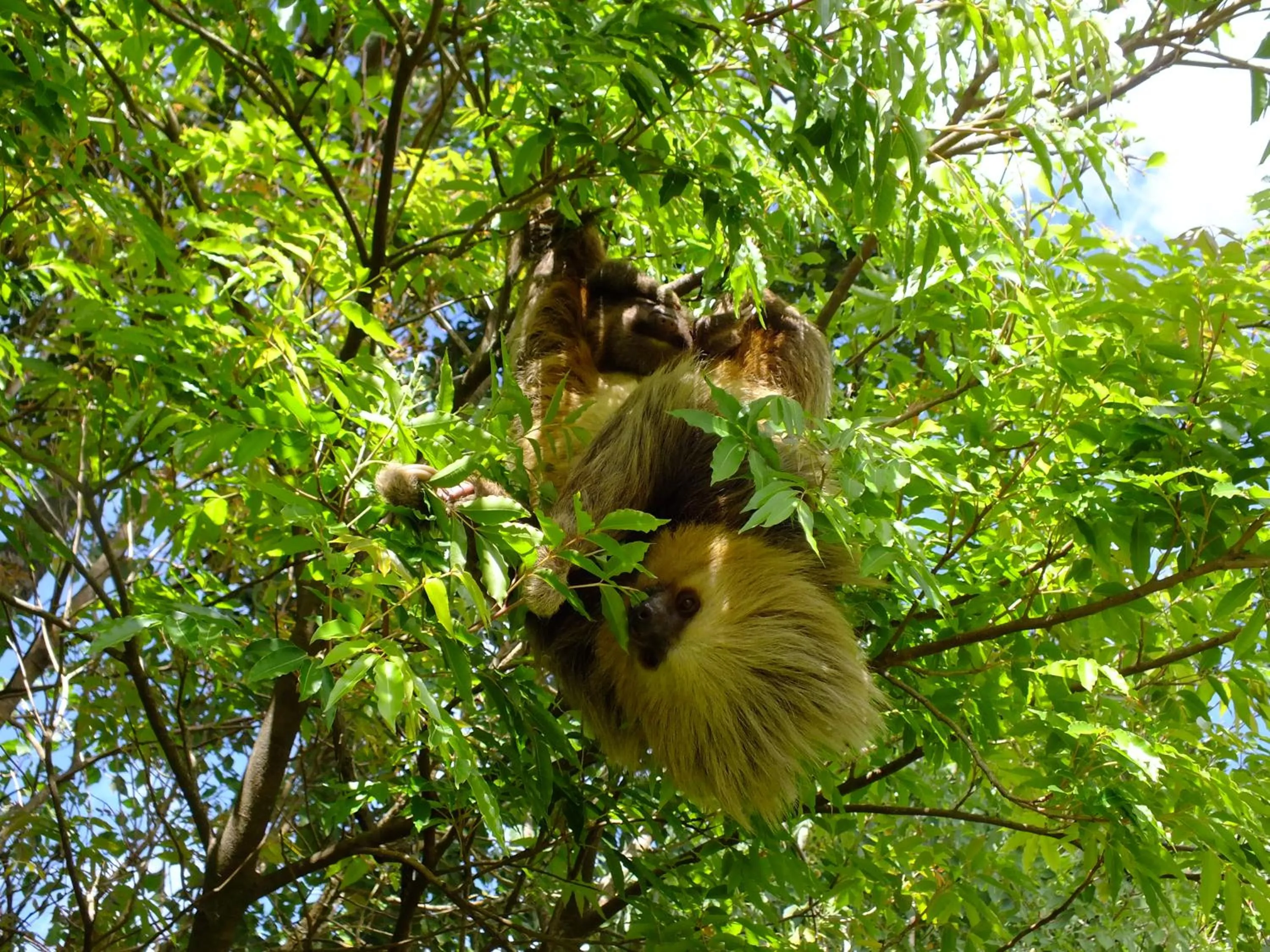 Natural landscape in Cabañas La Pradera