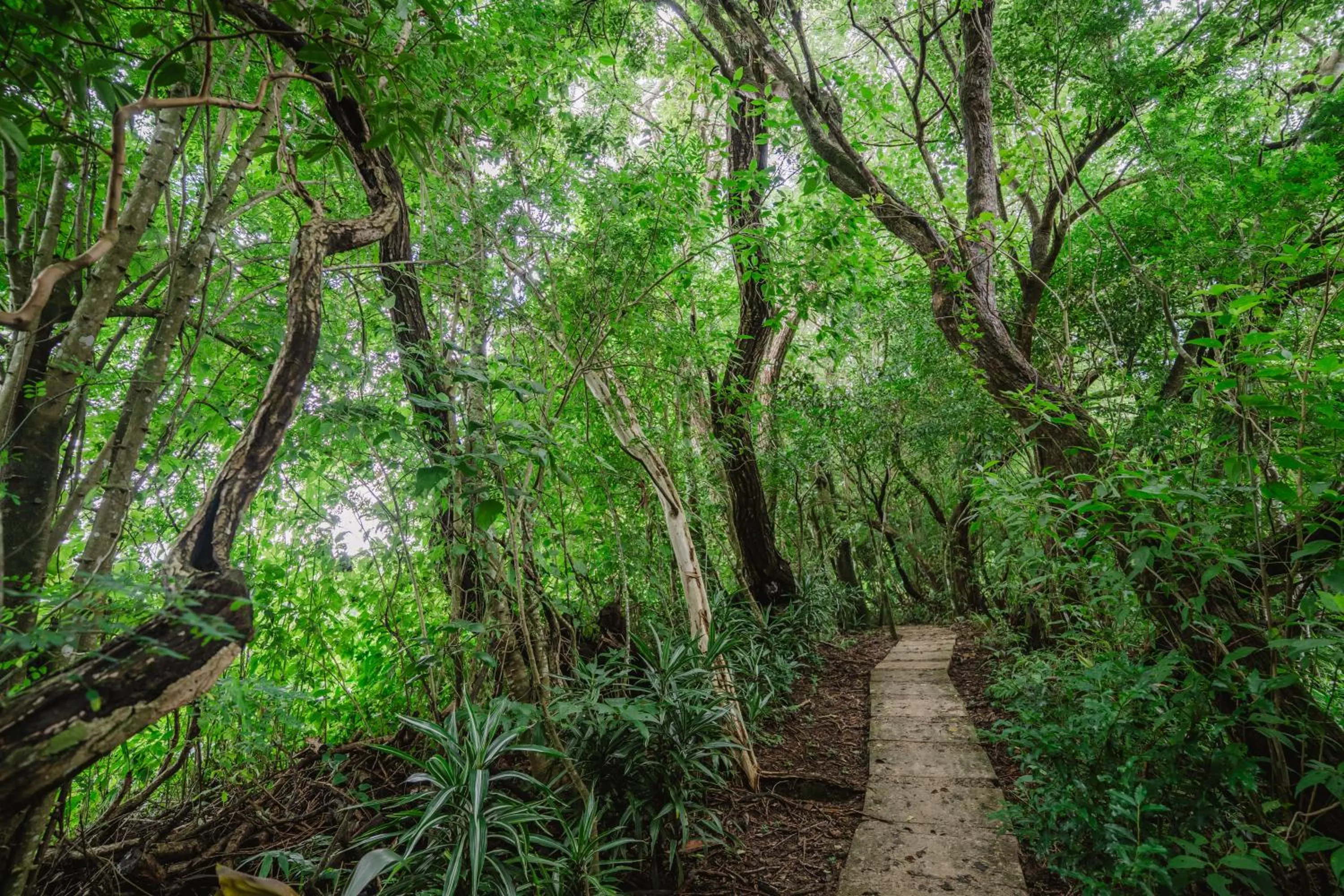 Hiking in Cabañas La Pradera