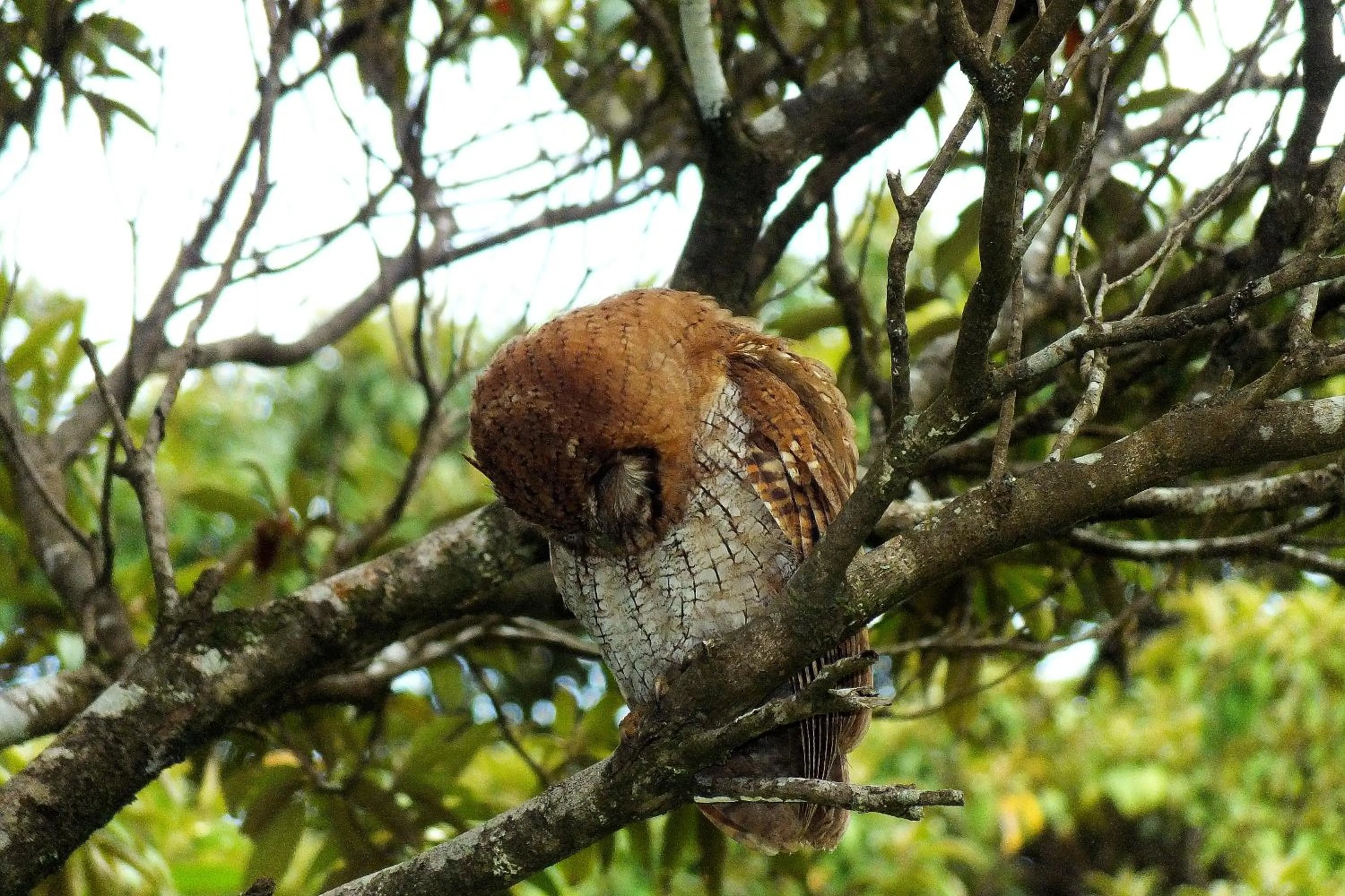 Natural landscape in Cabañas La Pradera