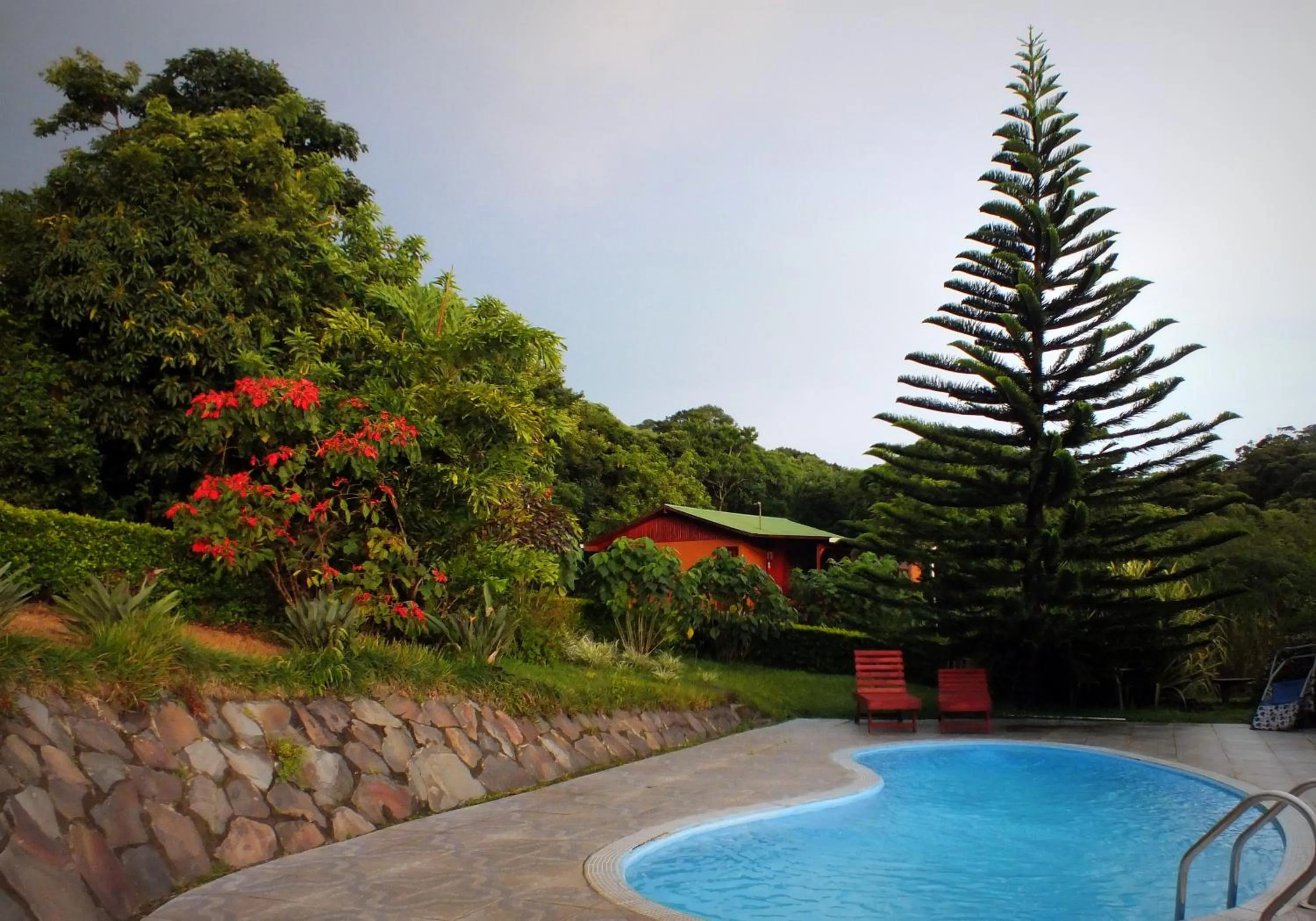Swimming pool in Cabañas La Pradera