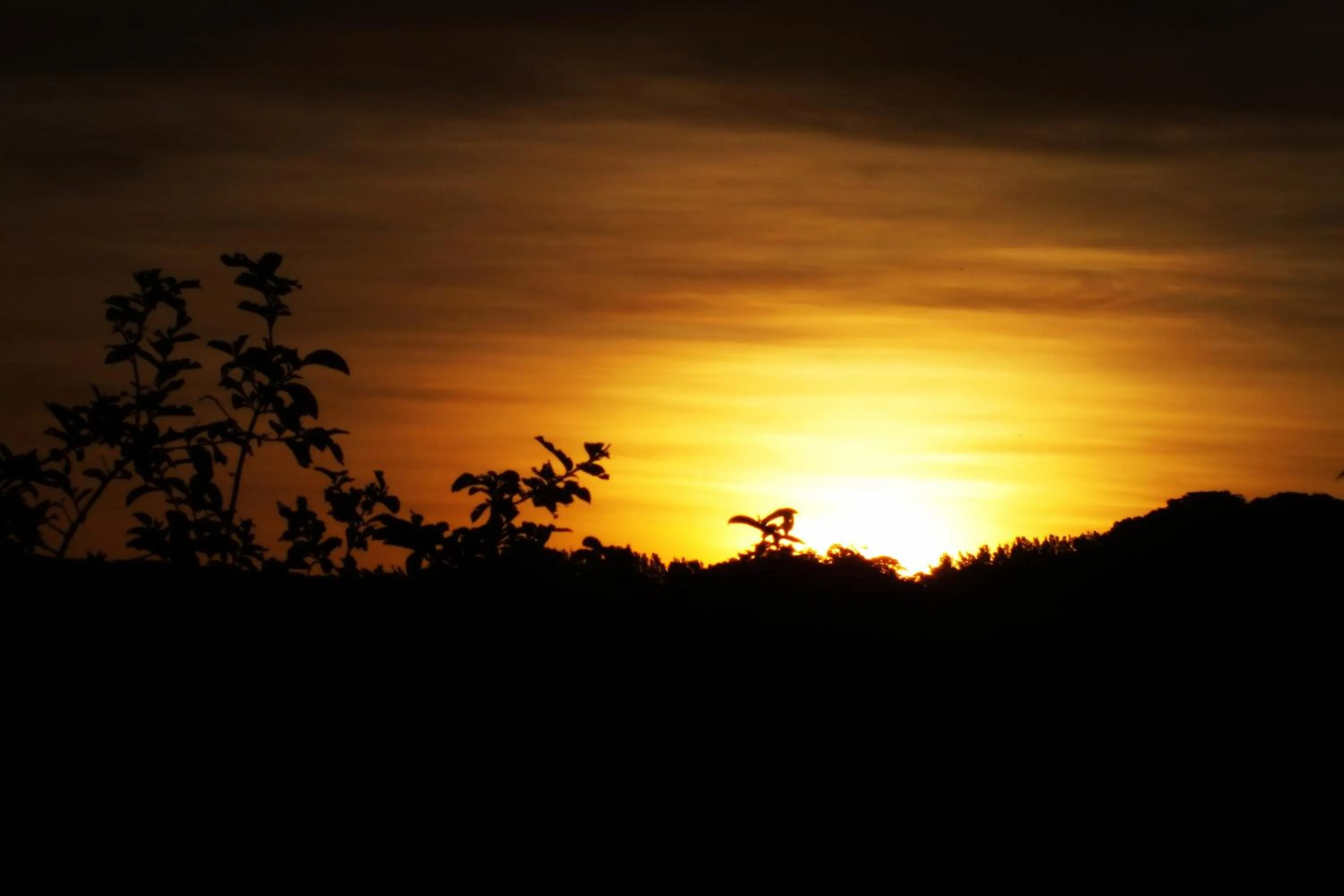 Natural landscape in Cabañas La Pradera
