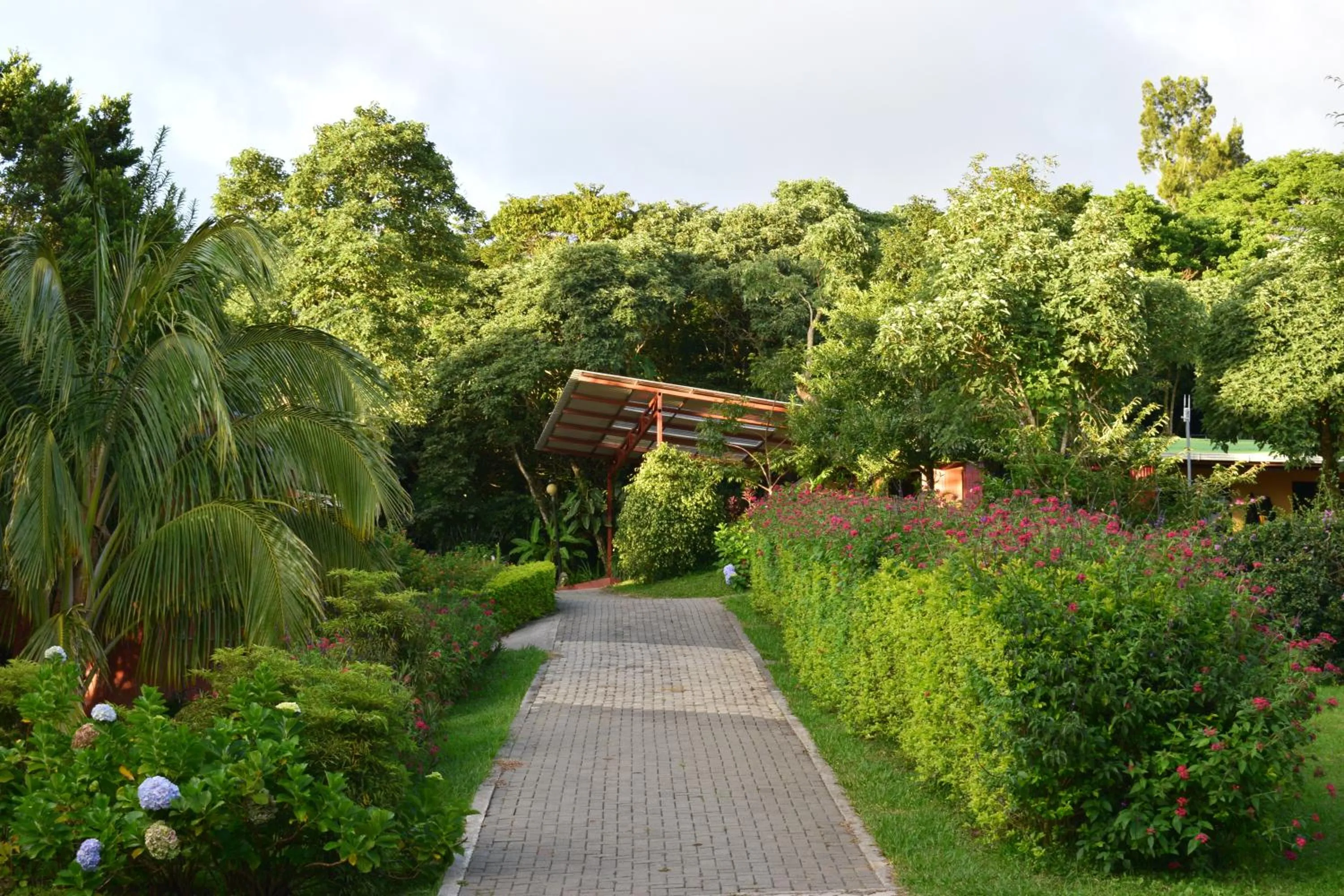 Garden in Cabañas La Pradera