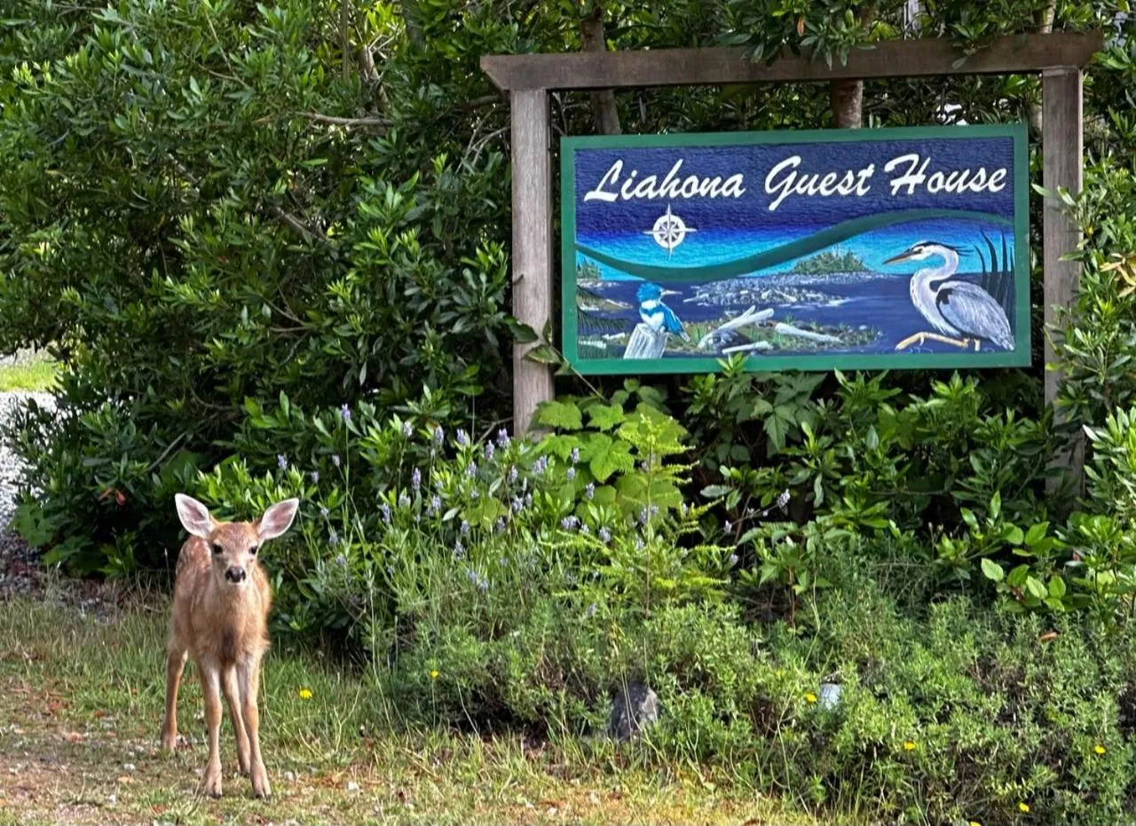 Property logo or sign in Liahona Guest House