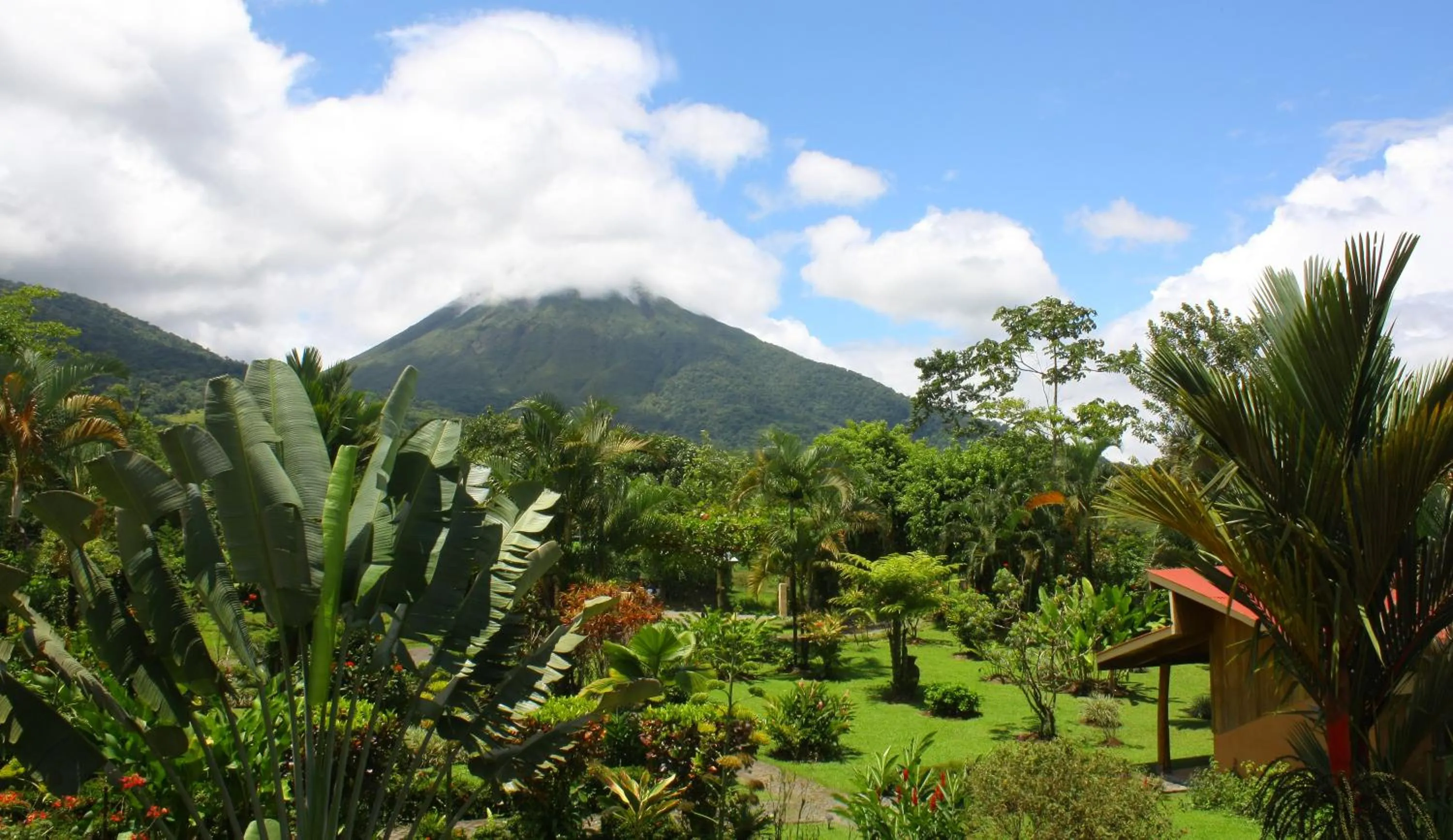 Garden in Catarata Eco Lodge