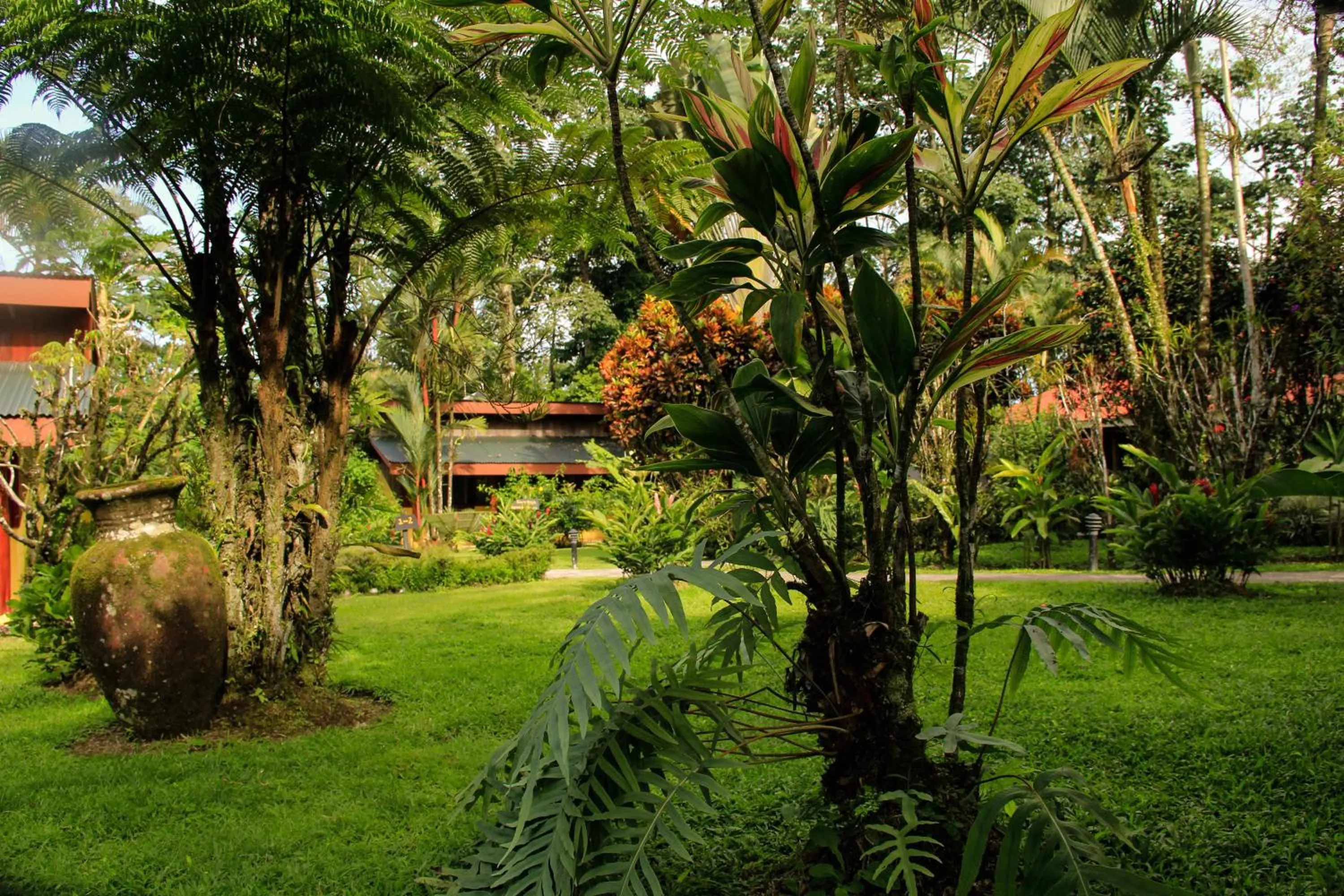 Garden in Catarata Eco Lodge