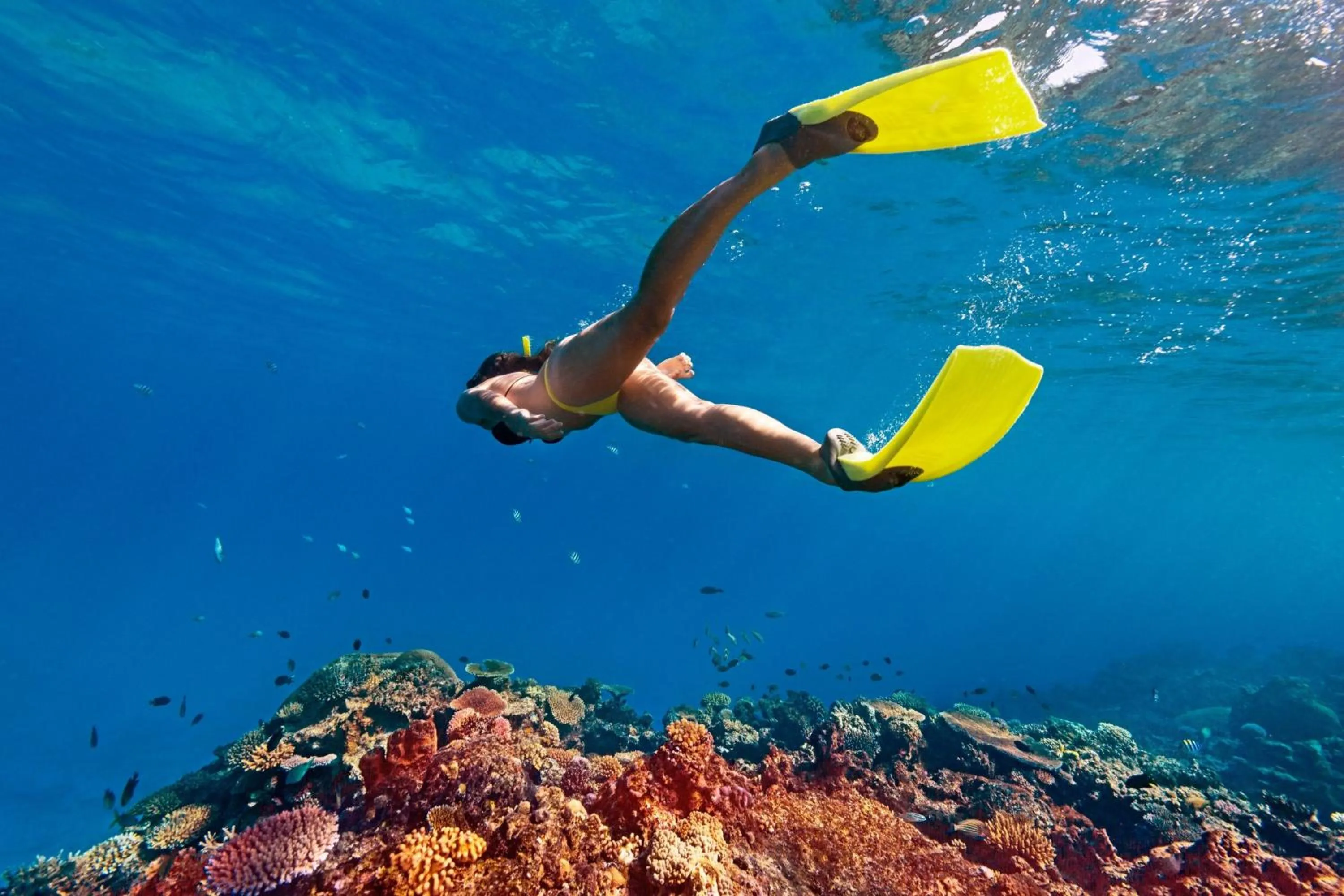 Other in Sheraton Resort & Spa, Tokoriki Island, Fiji
