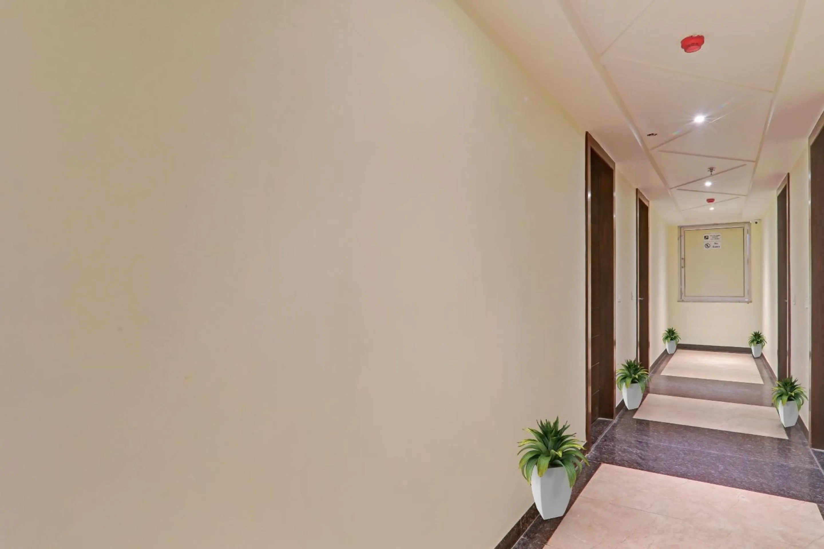 Other in Townhouse Hotel Spotlight