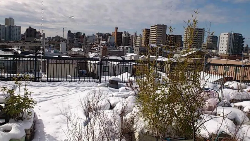 View (from property/room) in Tokyo Guest House 2020