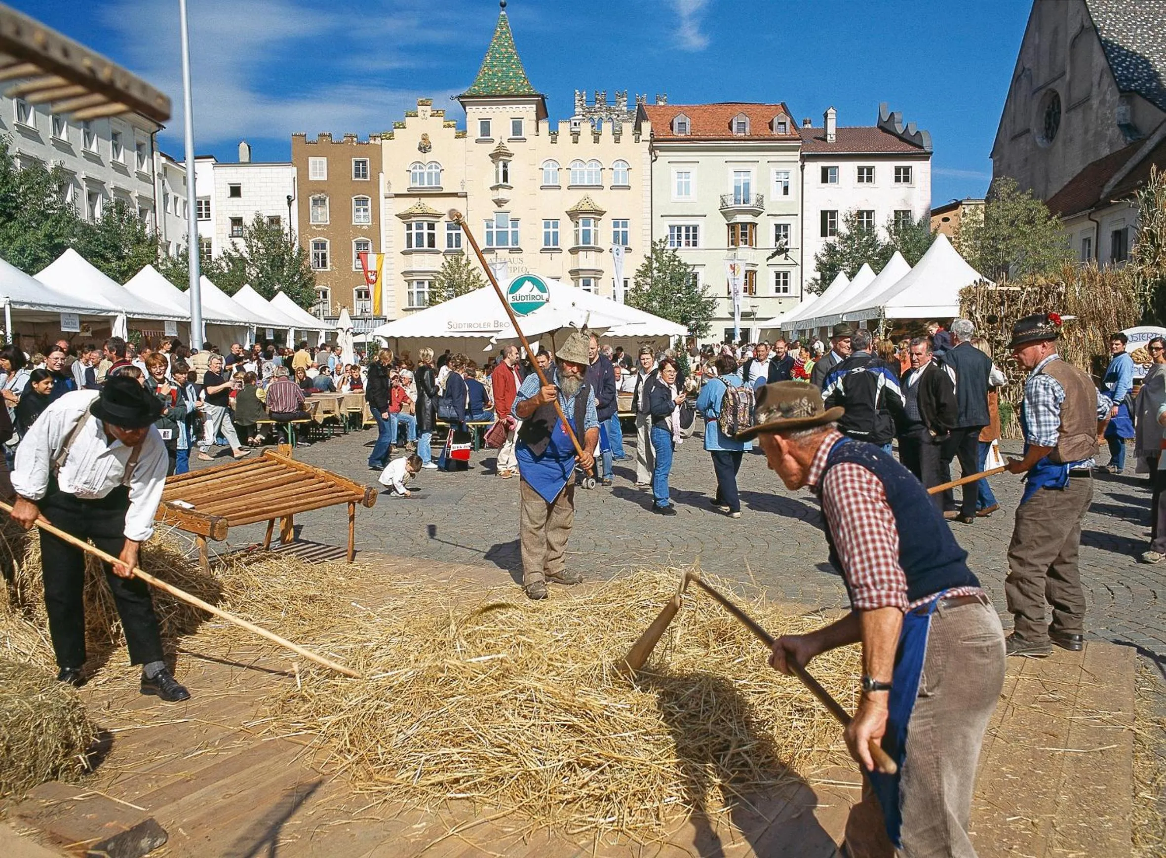 Area and facilities in Hotel Grüner Baum