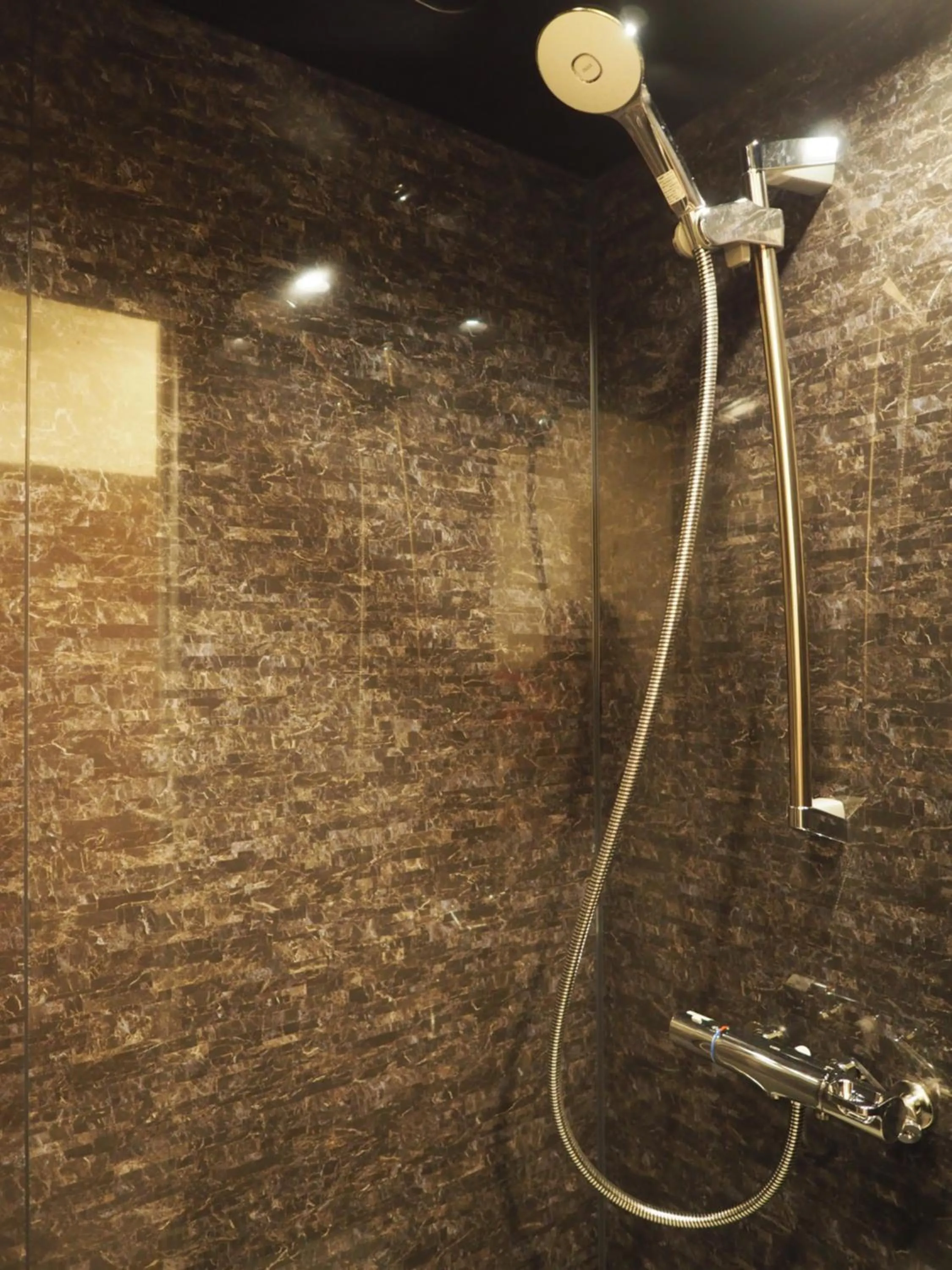 Shower in Hotel Grand Vert Kyu Karuizawa