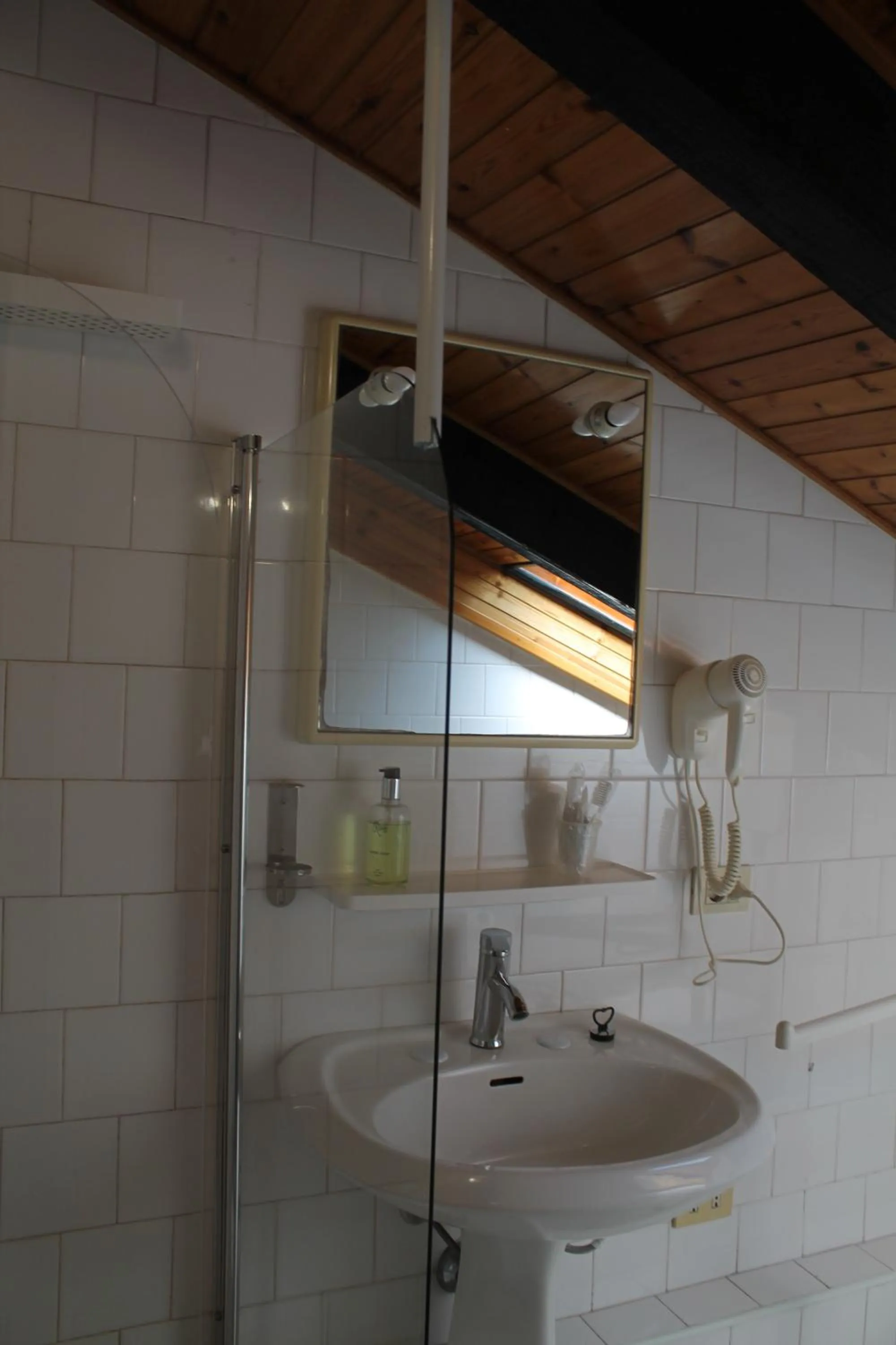 Shower in Mercanti Attic Version