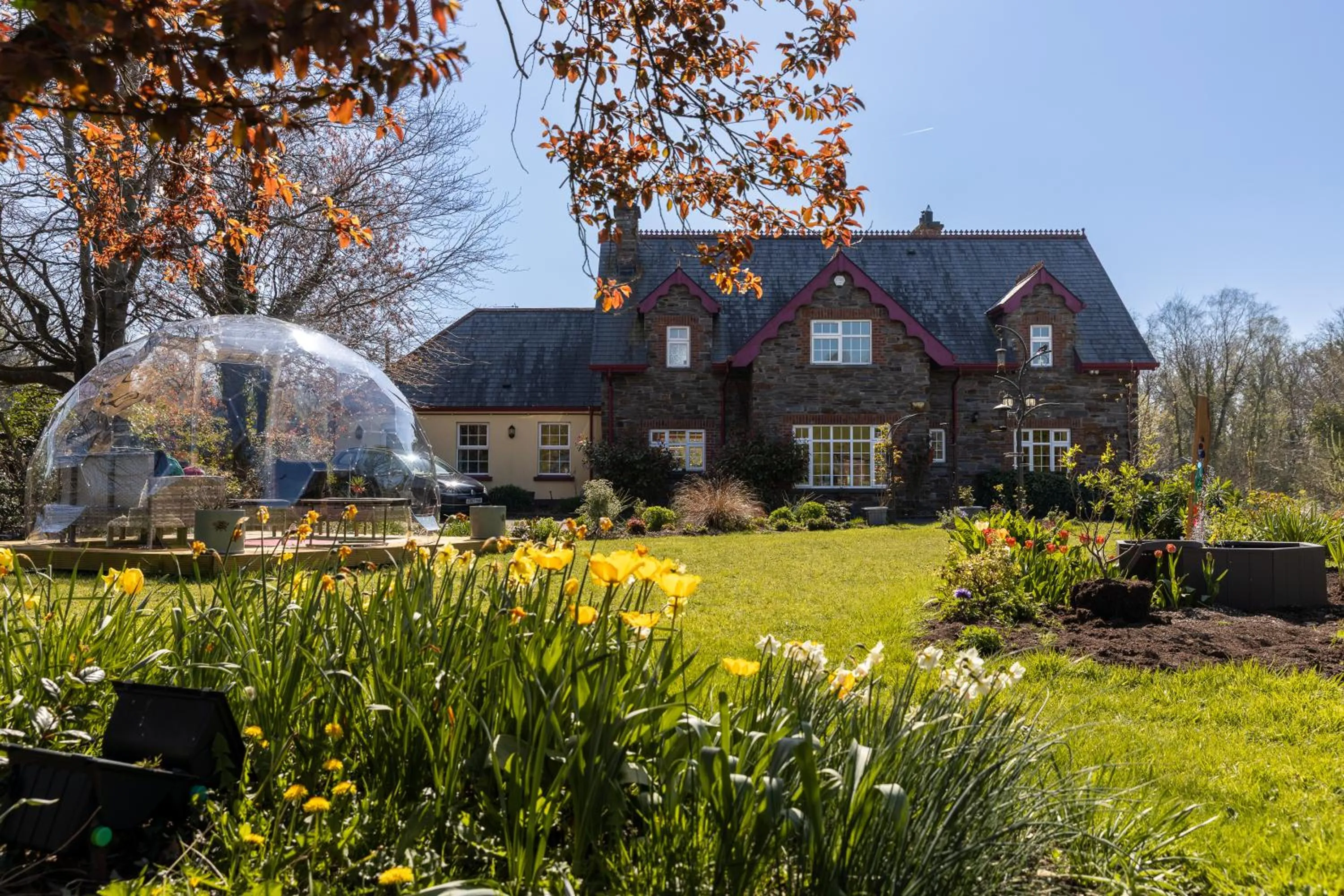 View (from property/room) in Rossclare Lodge