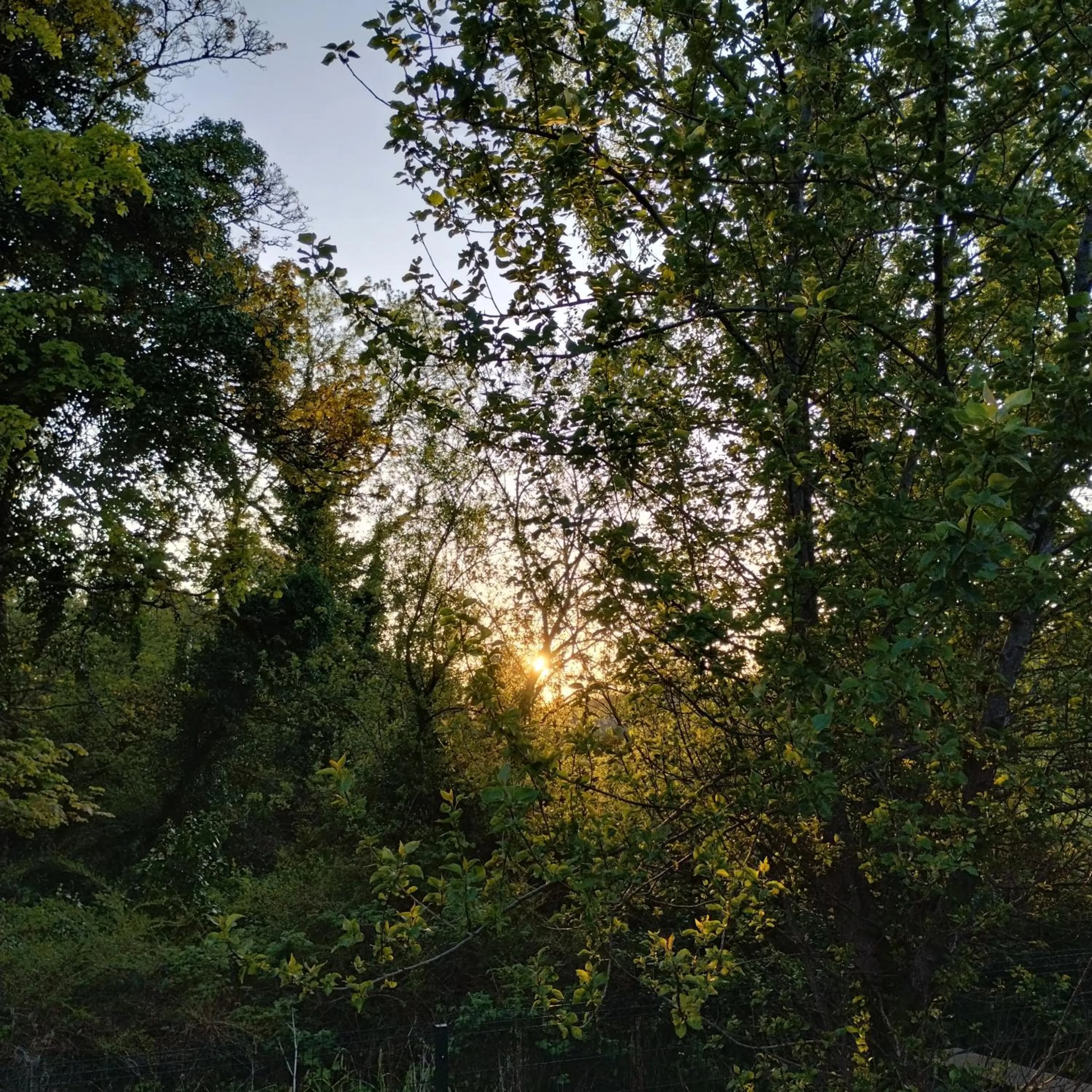 View (from property/room) in Rossclare Lodge