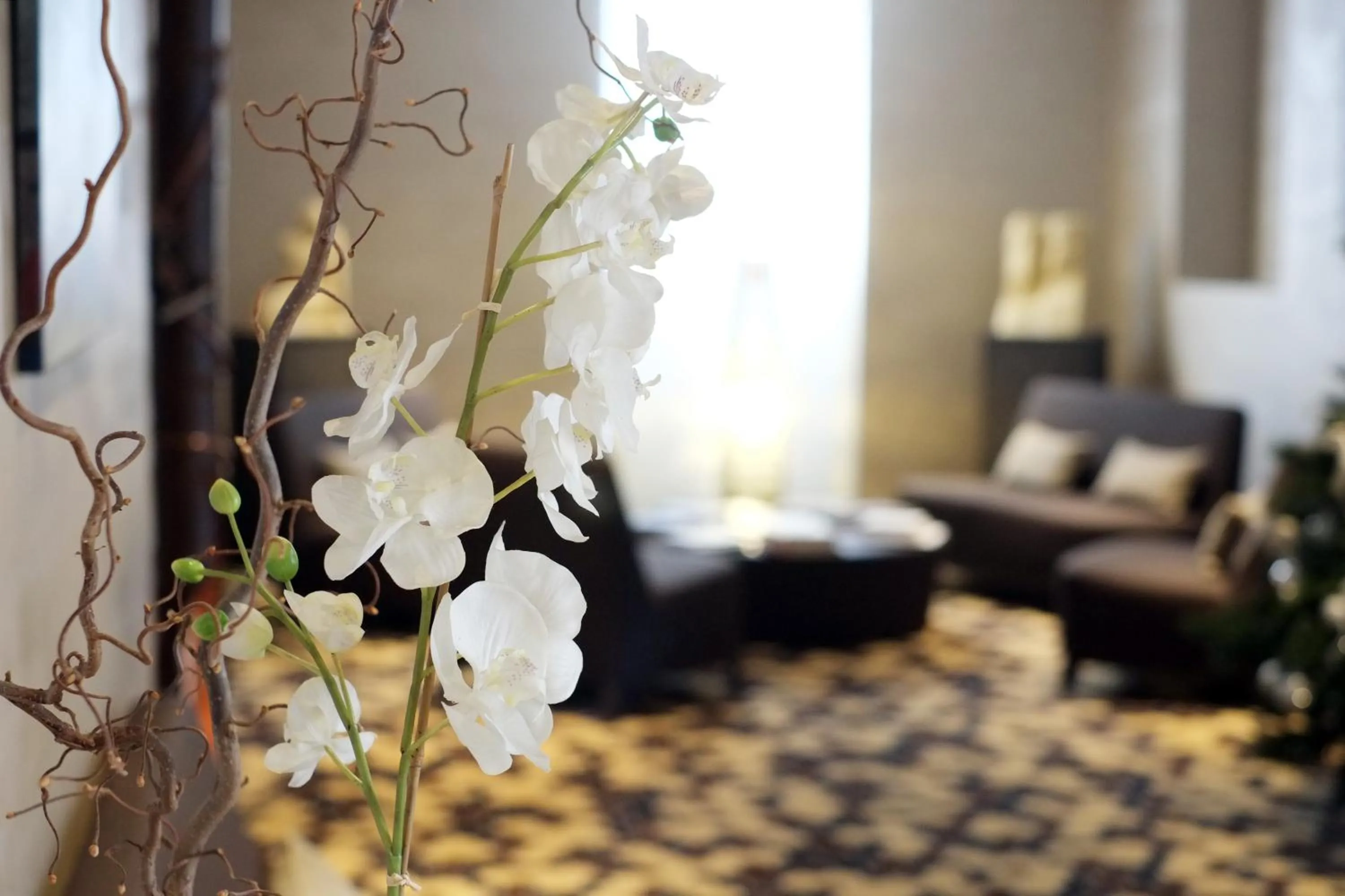 Other in Hotel Principe Di Torino