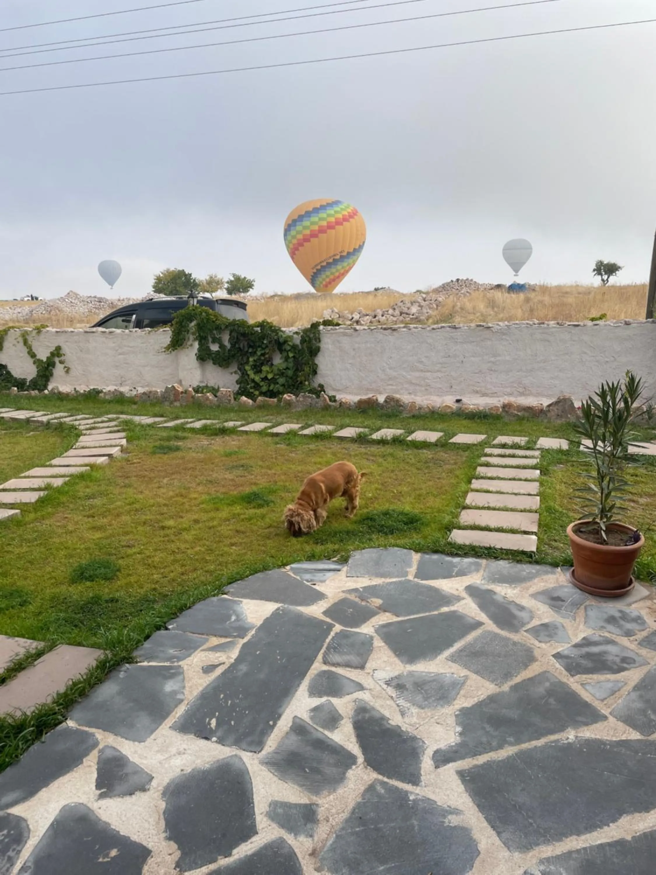 Garden view in Soleado Cappadocia Hotel