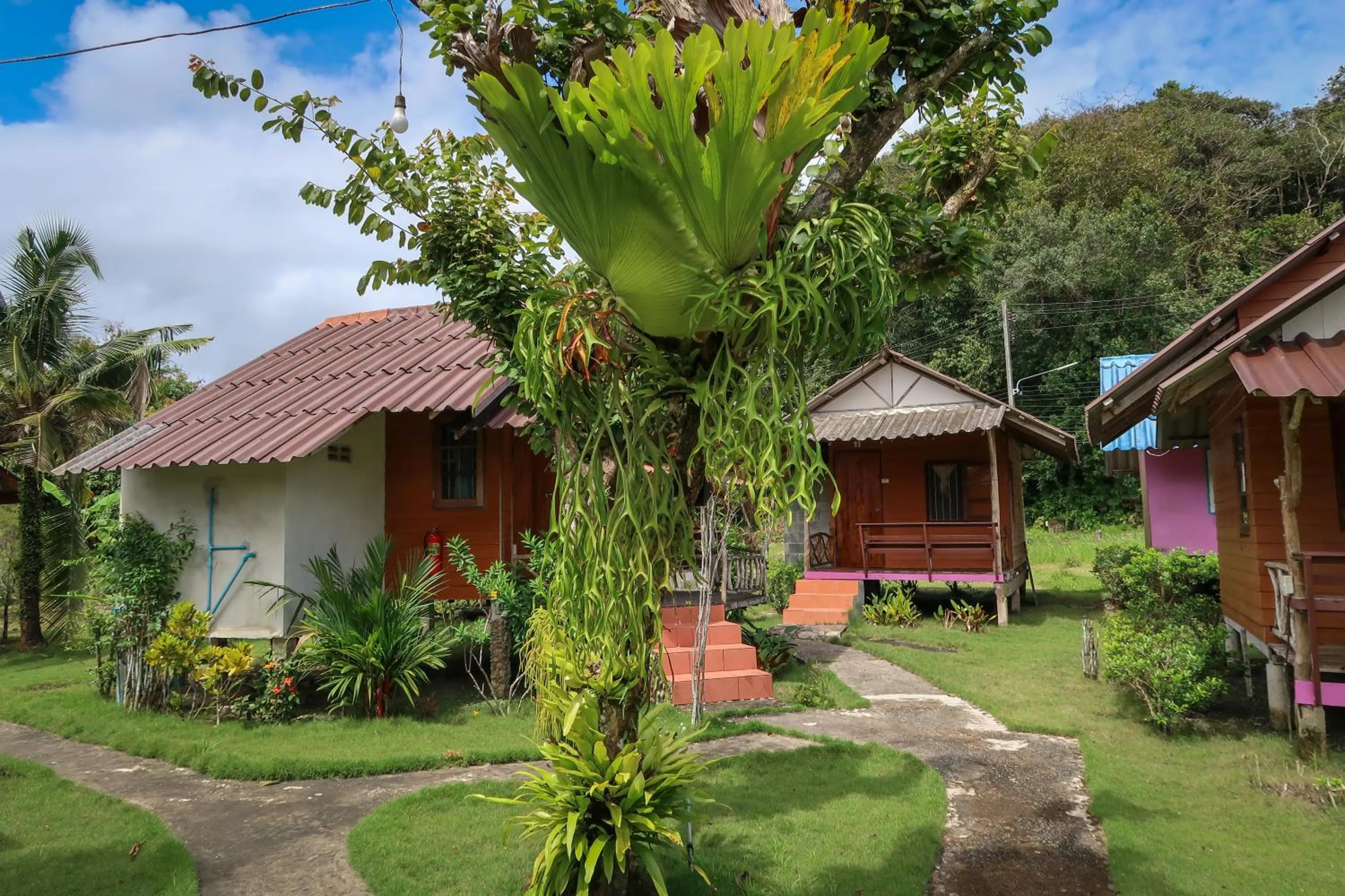 Koh Kood Garden View