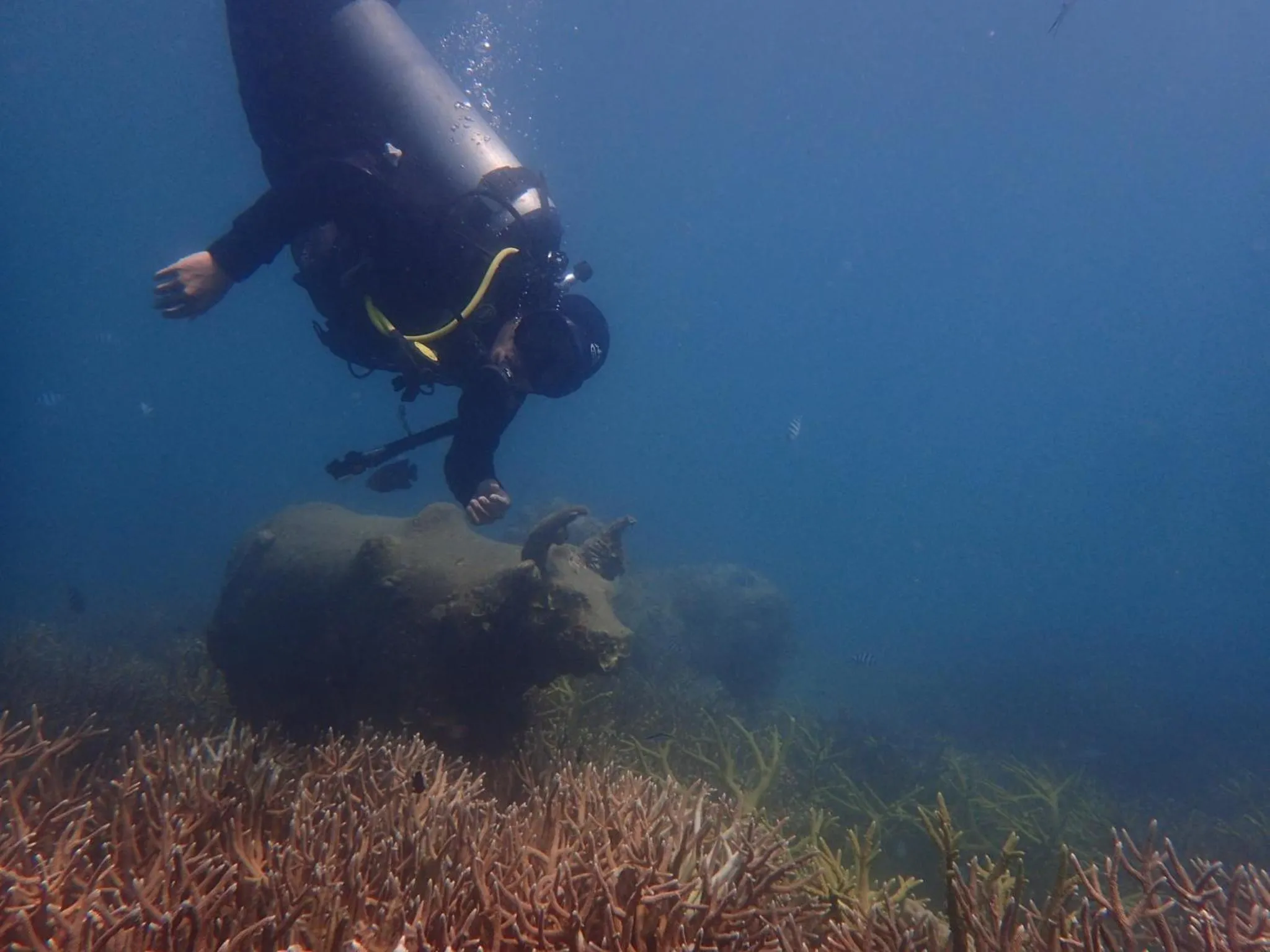 Diving in Koh Kood Garden View