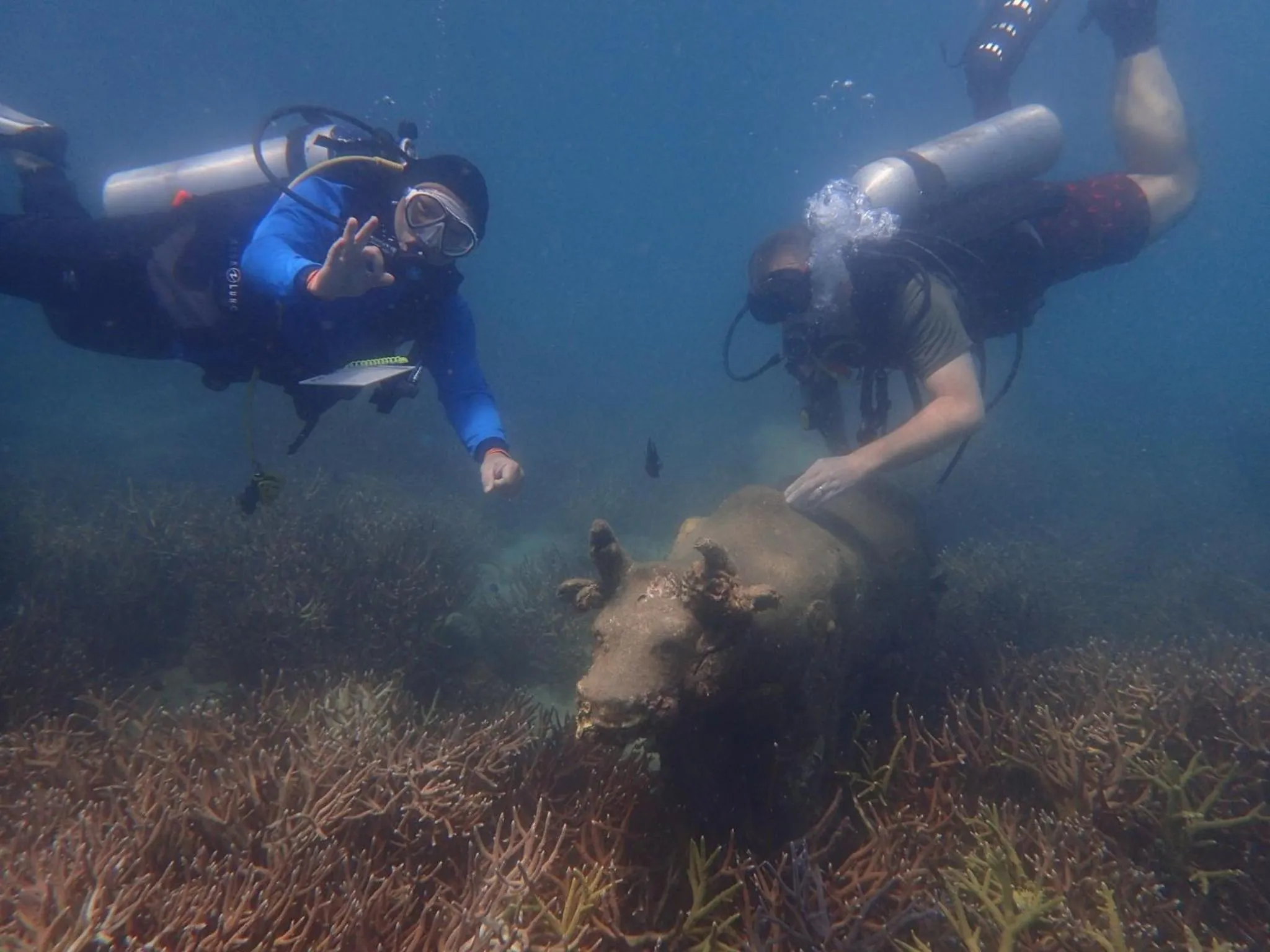 Diving in Koh Kood Garden View