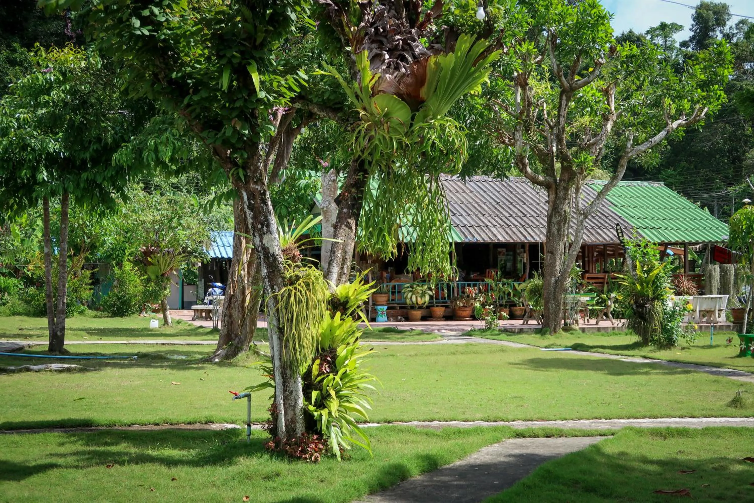 Koh Kood Garden View