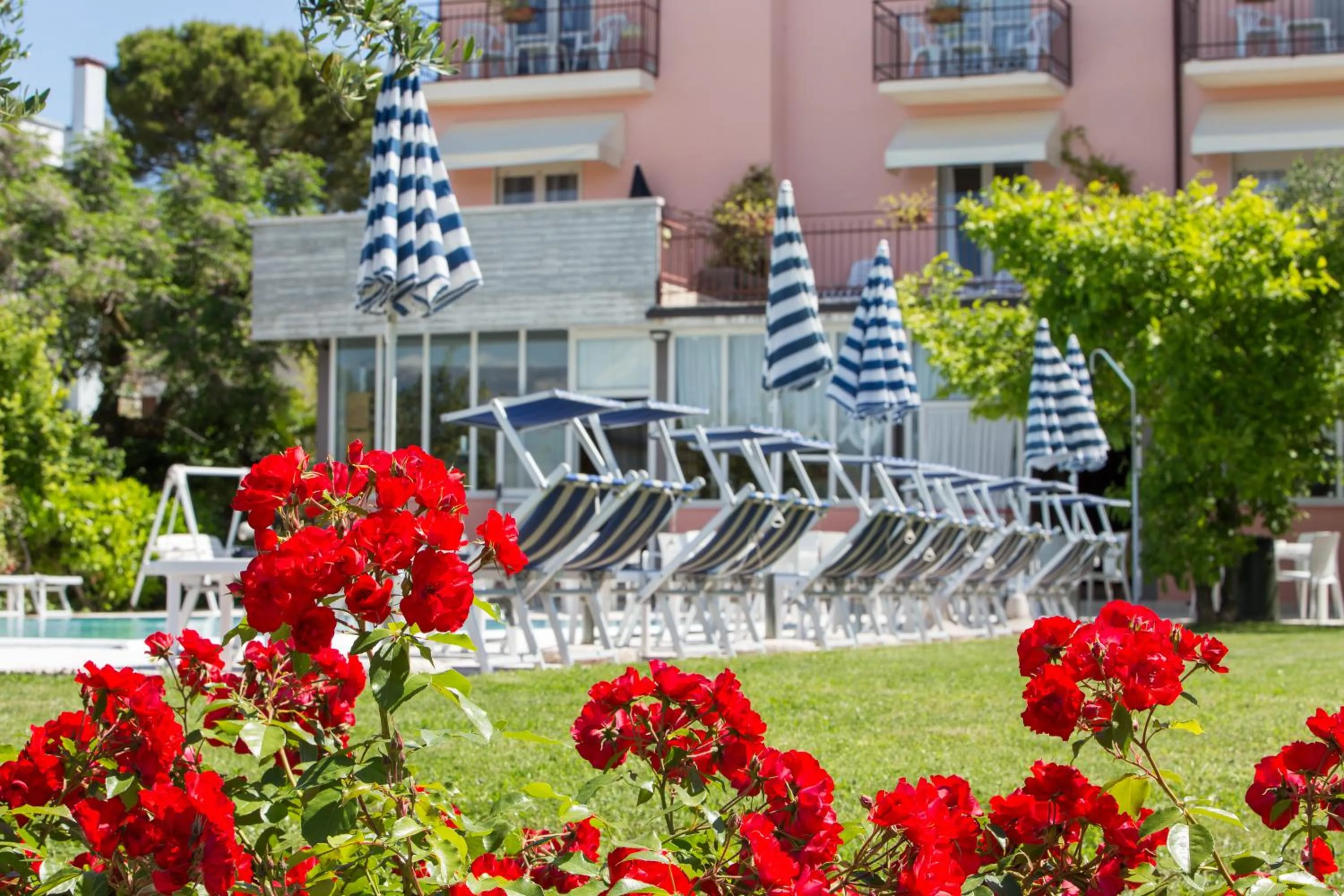 Spring in Cà Masawalsa Hotel