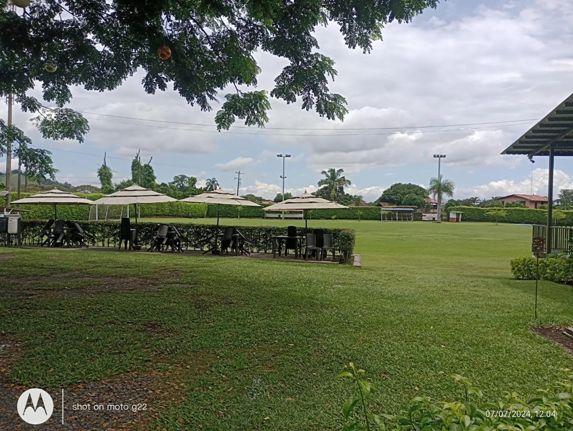 Spring in Hotel Palo Grande CF Pereira