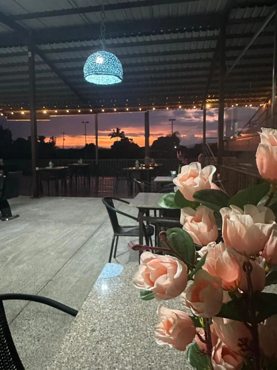 Restaurant/places to eat in Hotel Palo Grande CF Pereira