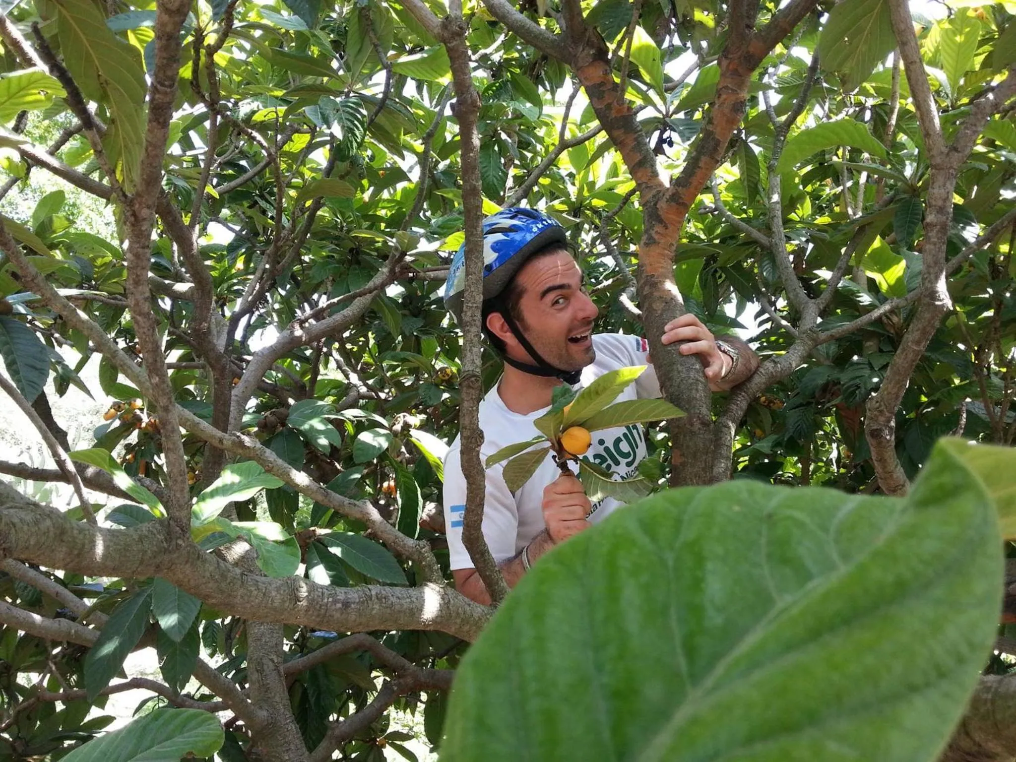 Hiking in Ai Tre Parchi Bed And Bike