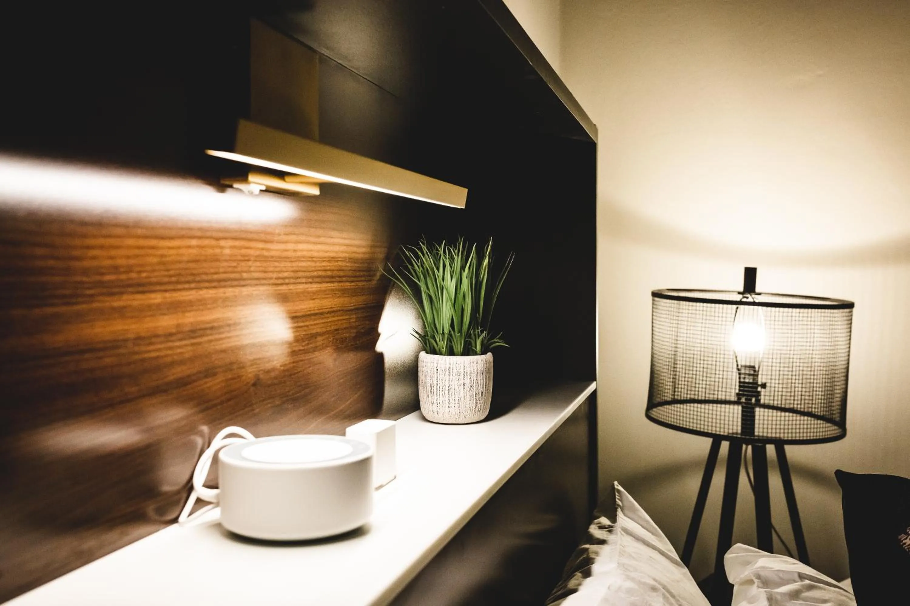 Three Trails Downtown Elkin