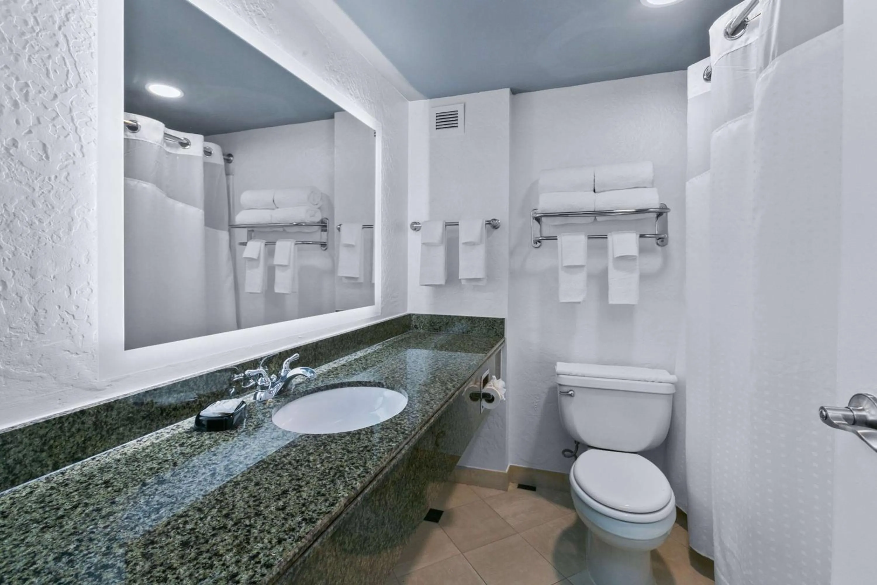 Bathroom in Mulberry, a Wyndham Hotel