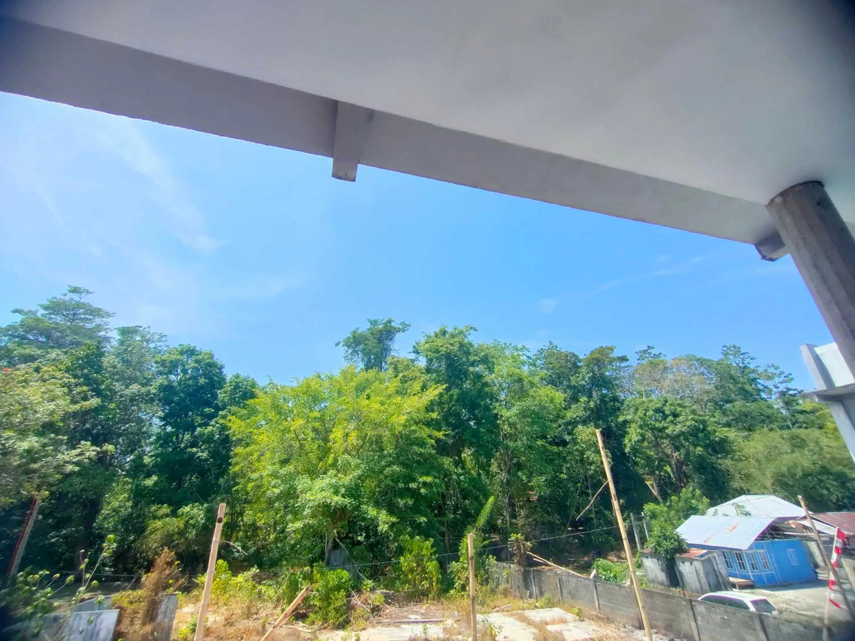 Natural landscape in Tangkoko Guest House