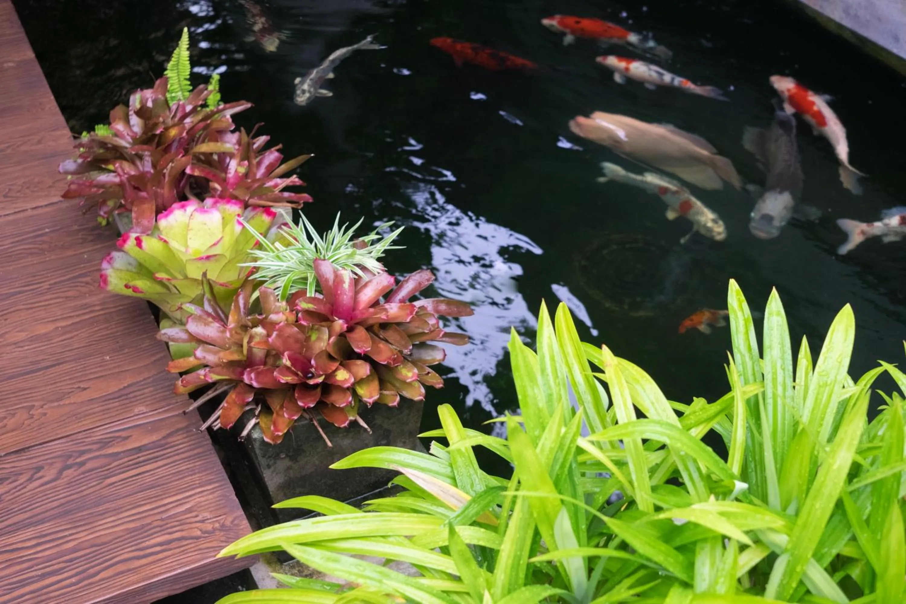 Garden in Just Fine Krabi