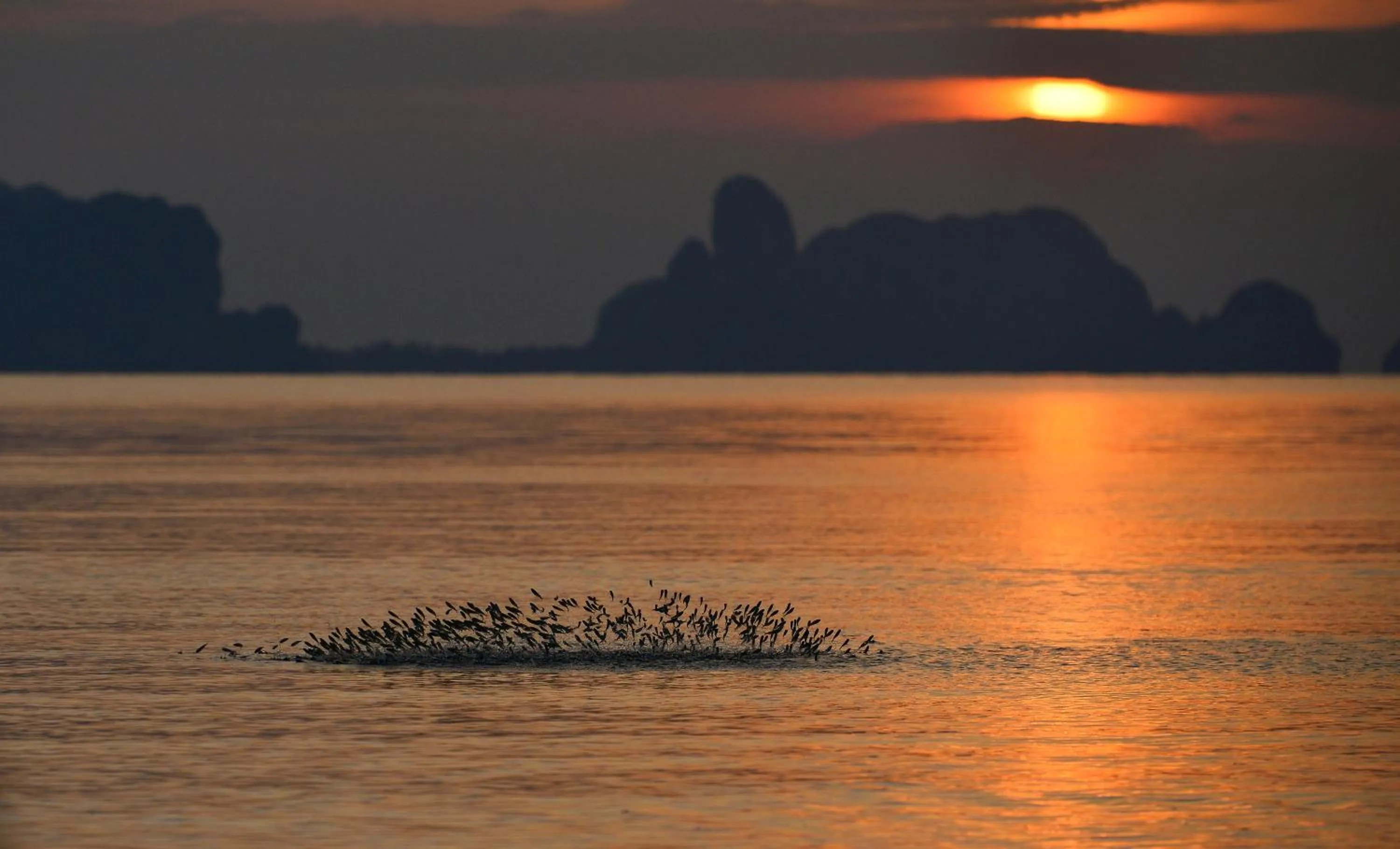 Nearby landmark in Just Fine Krabi