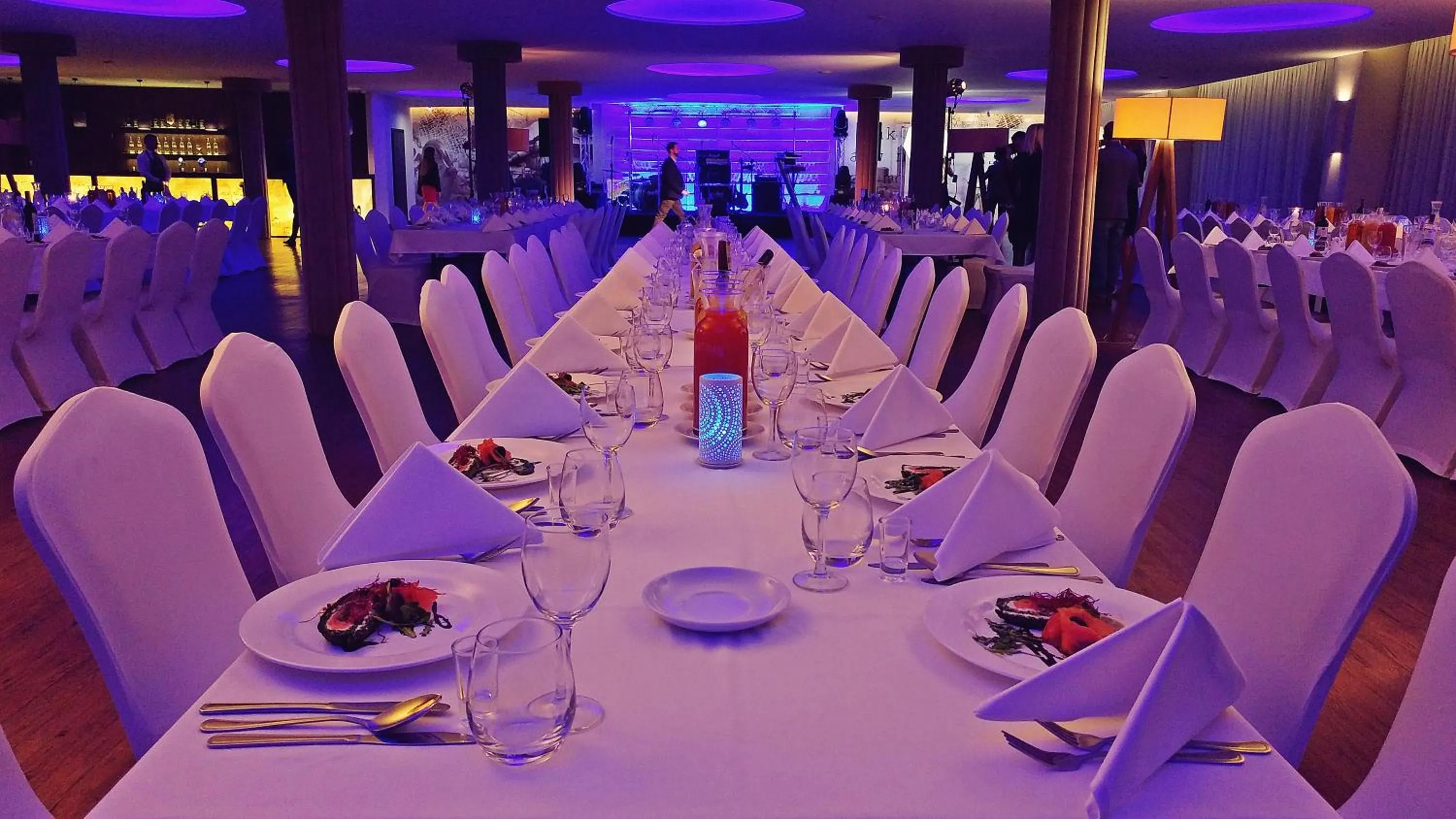 Banquet/Function facilities in Citi Hotel's Warszawa-Falenty