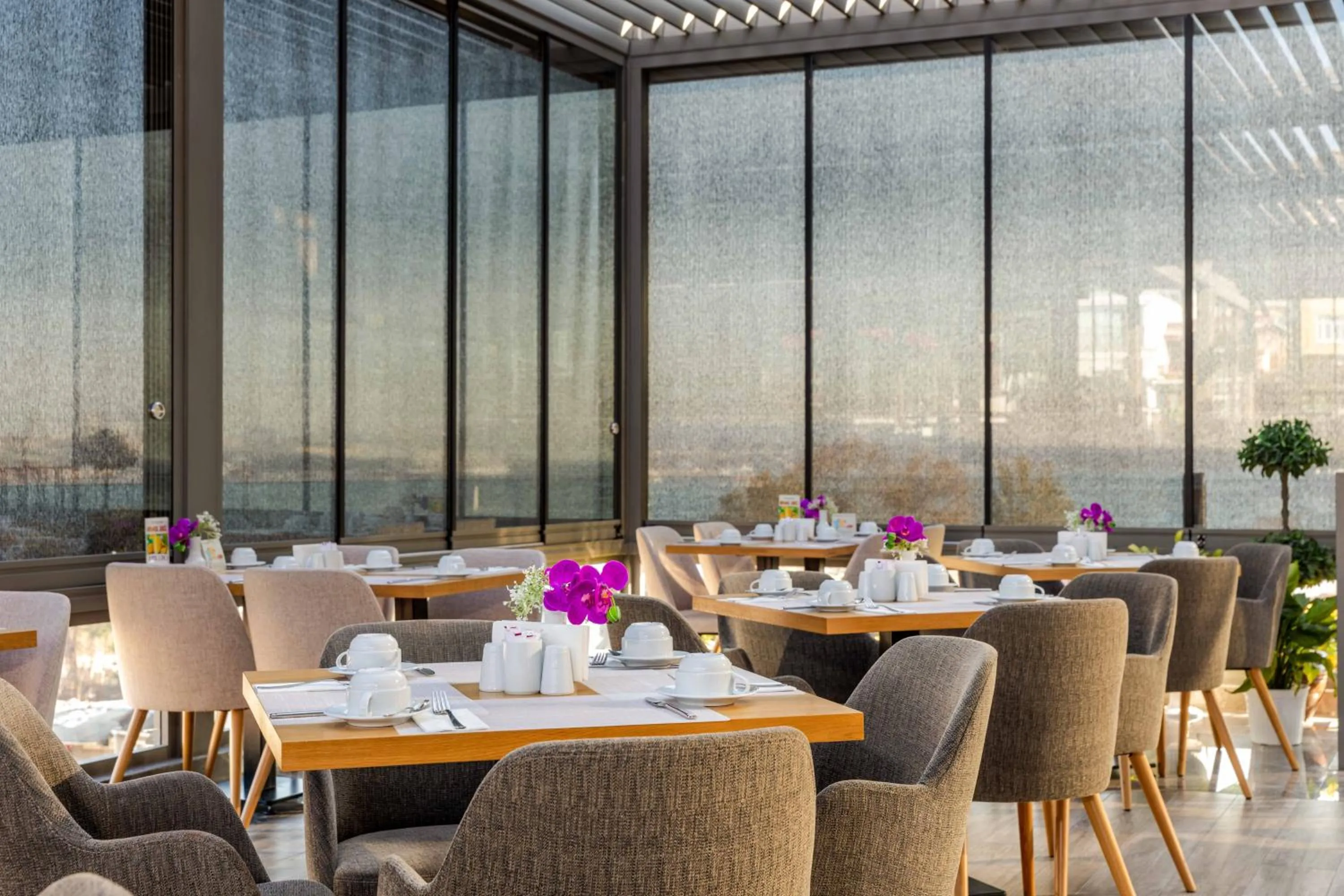 Restaurant/places to eat in Amiral Palace Hotel Boutique Class