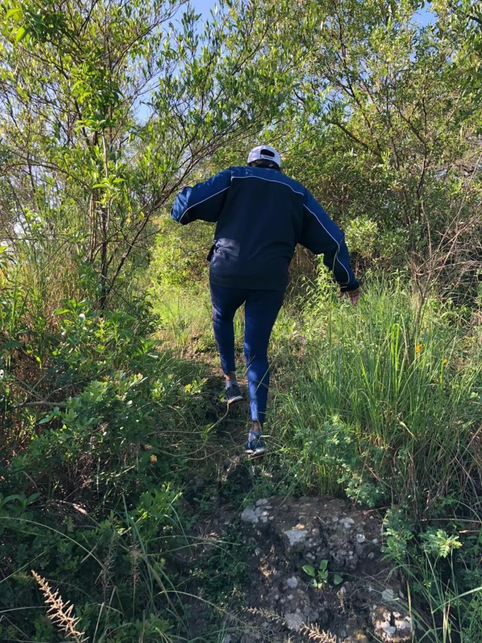 Natural landscape in Rock Hyrax Hotel