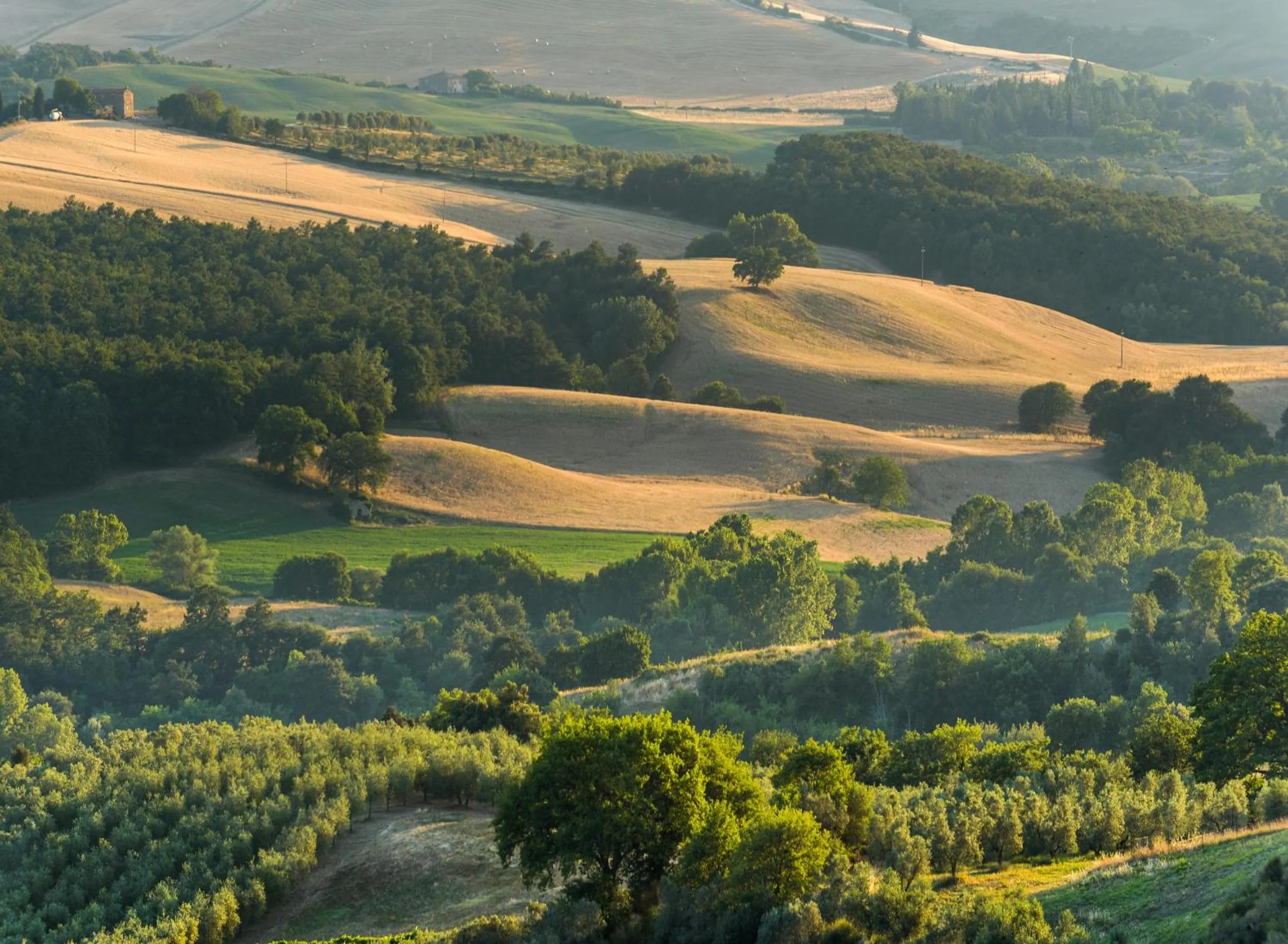 Landmark view in Locanda di CasalMustia