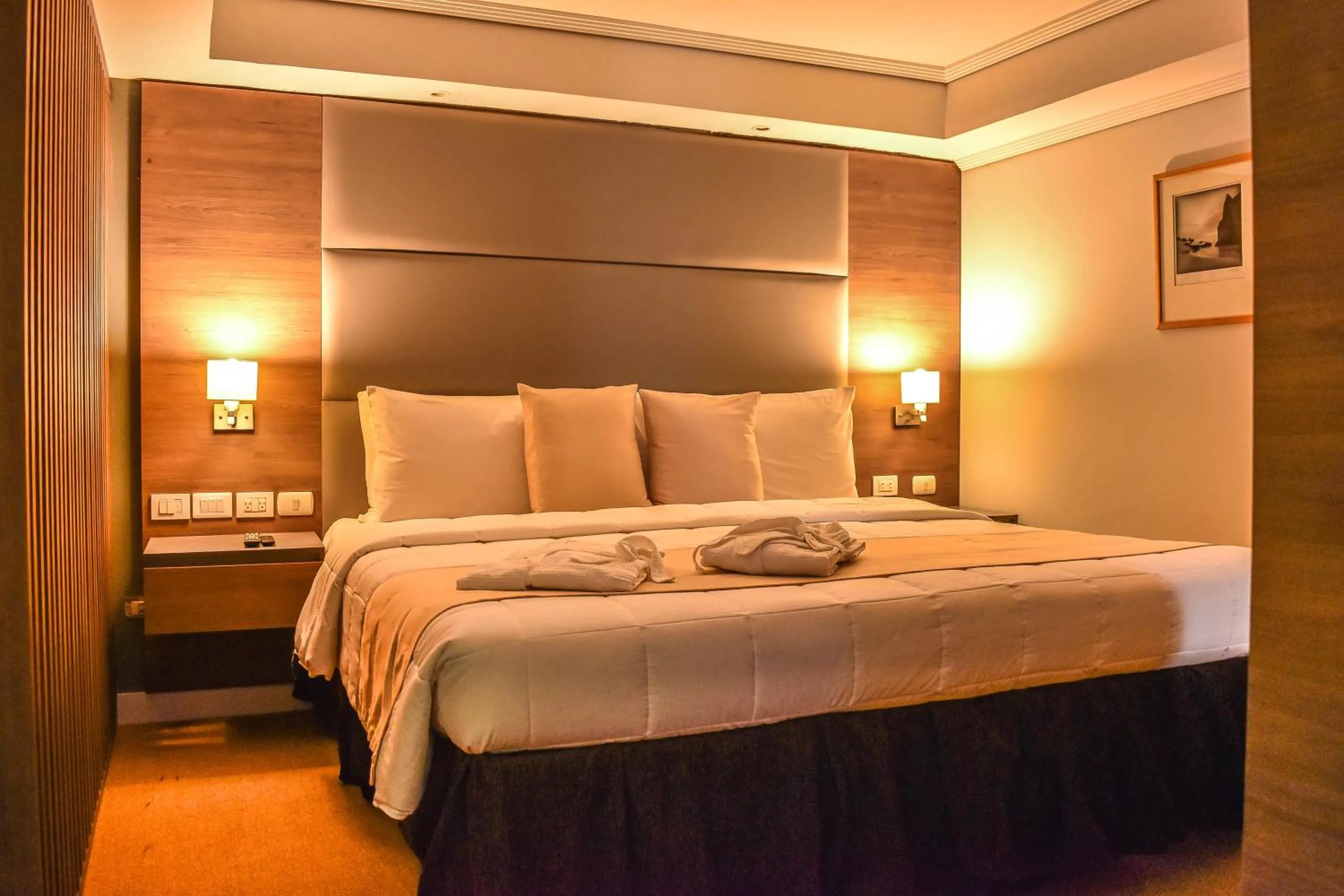 Tibisay Hotel del Lago