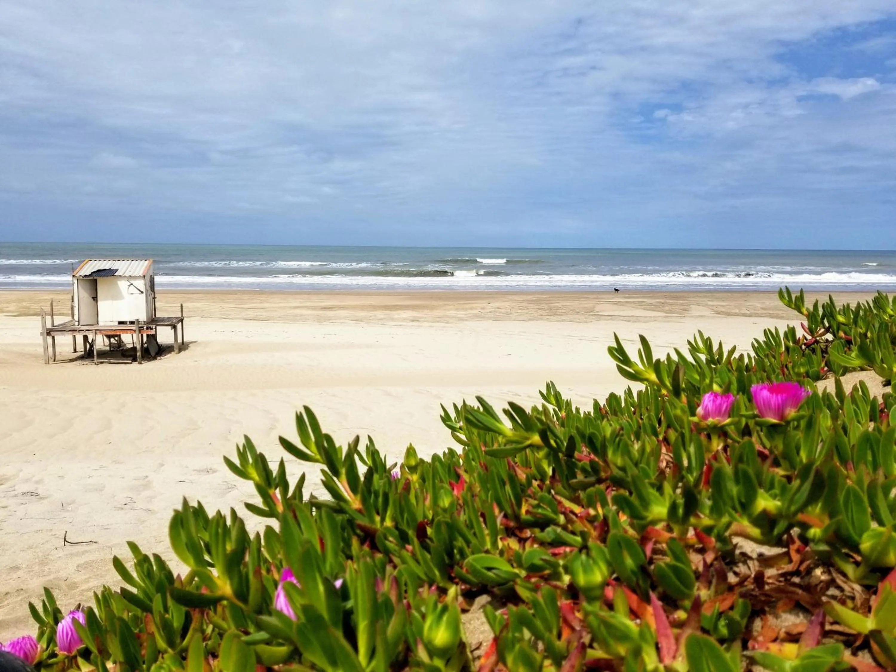 Natural landscape in Jaina Resort & Spa