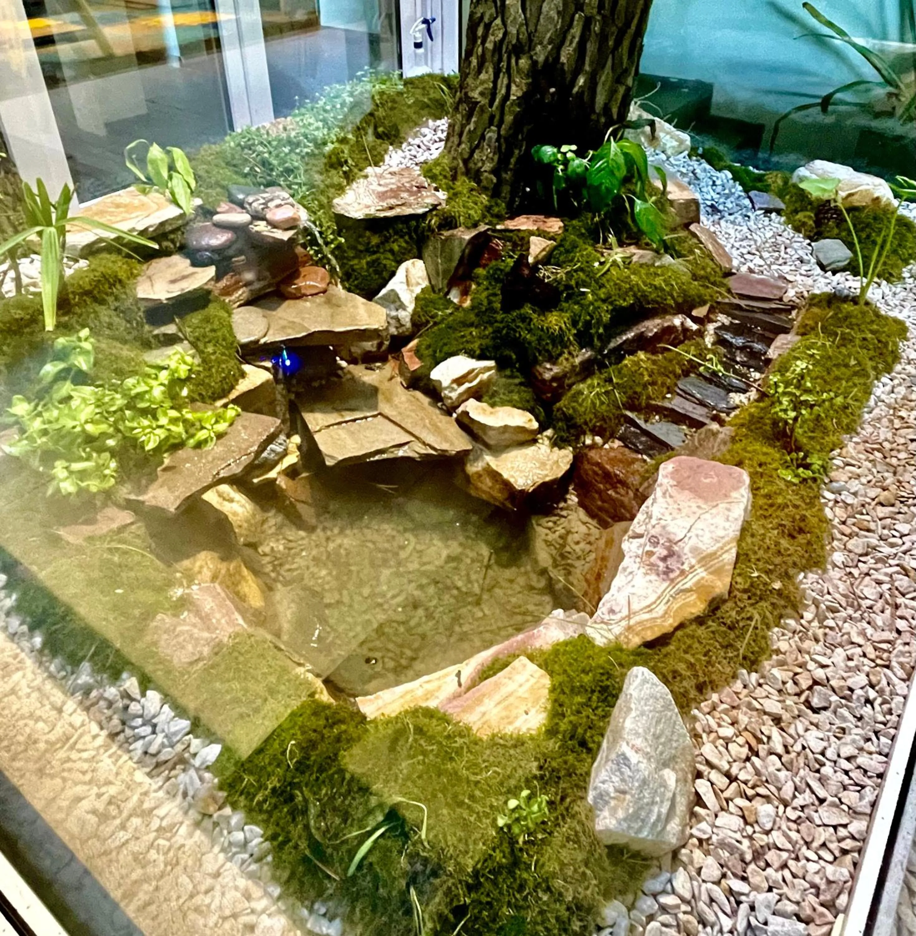 Balcony/Terrace in Jaina Resort & Spa