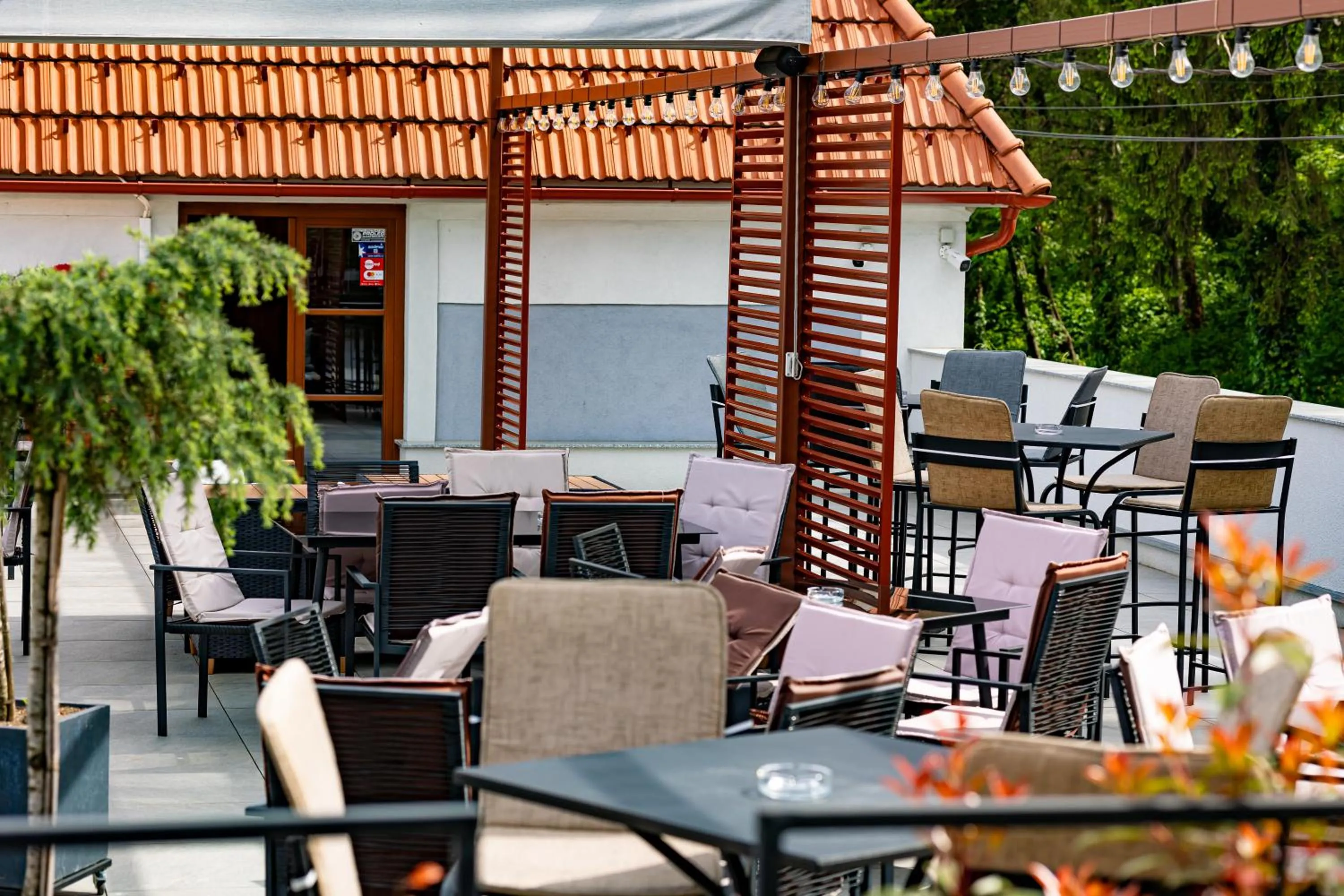 Balcony/Terrace in Wanderer Sighisoara
