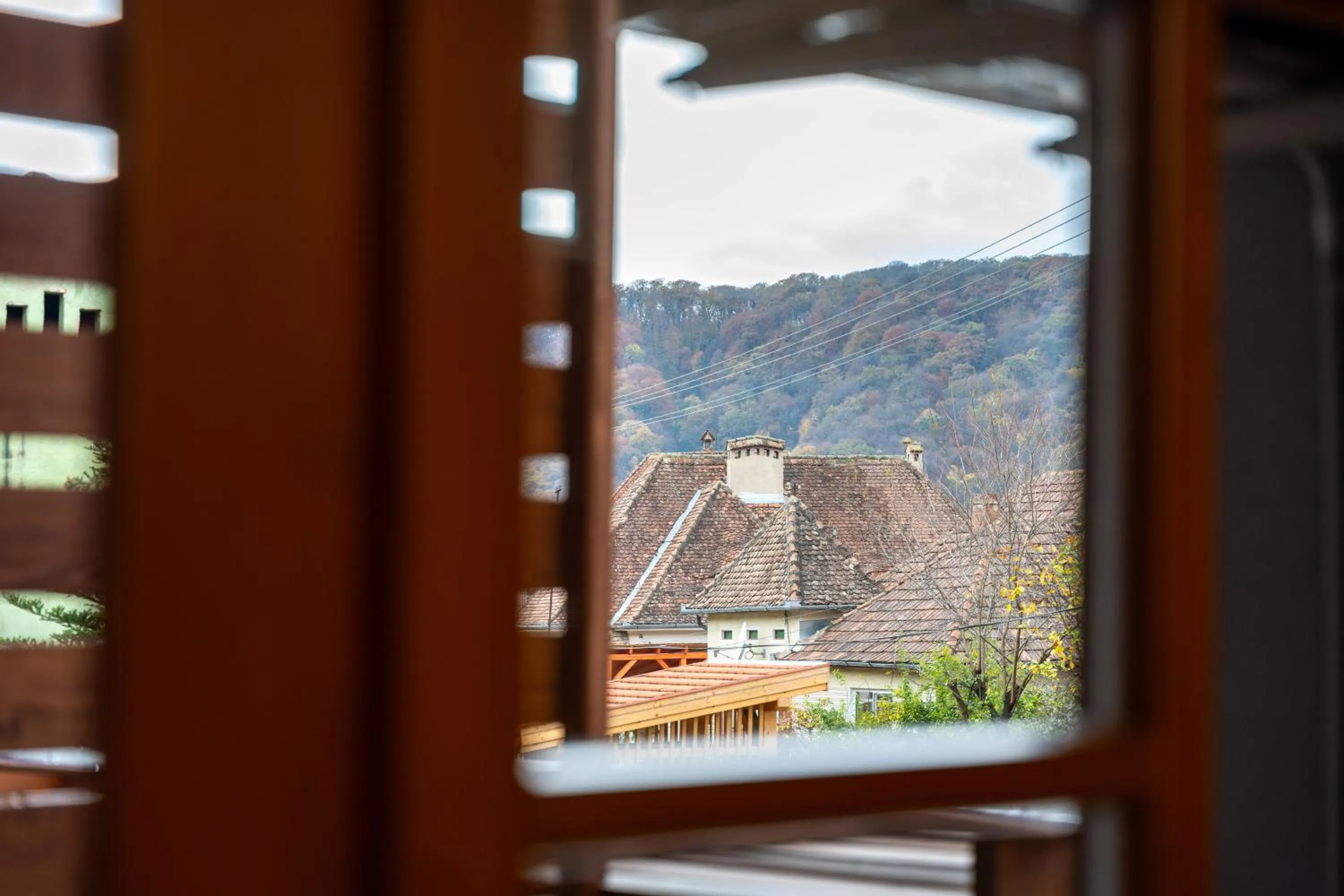 Property building in Wanderer Sighisoara
